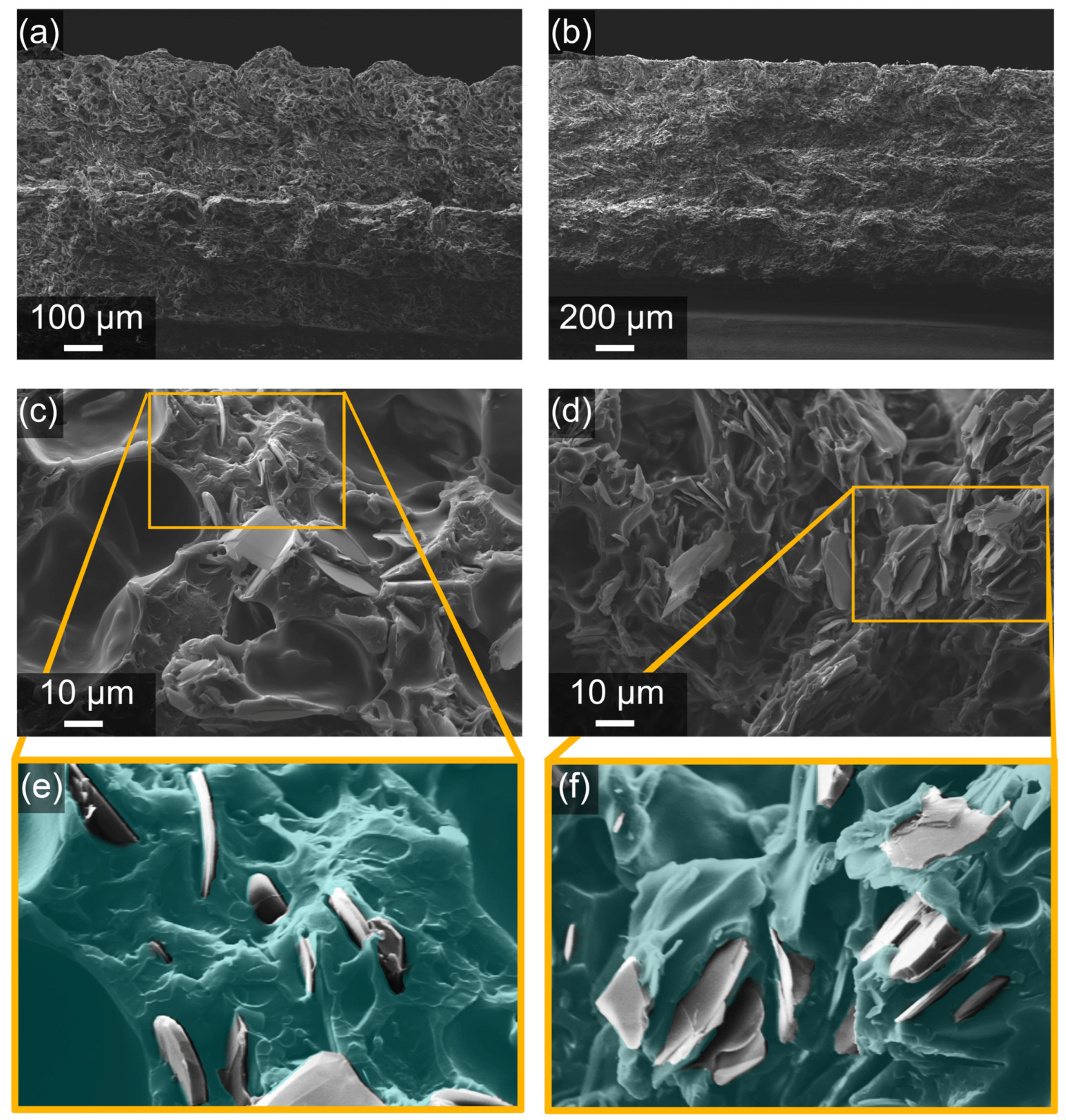 Polymers 16 00432 g002