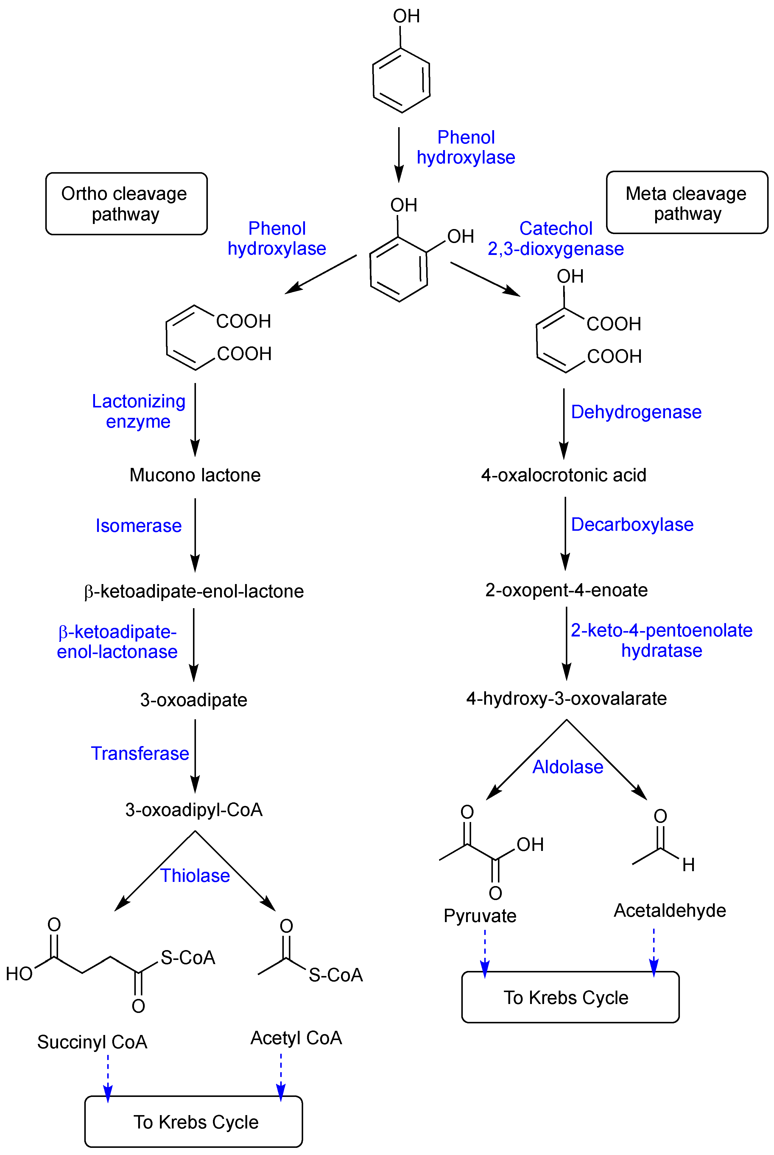 Polymers 16 00443 g001