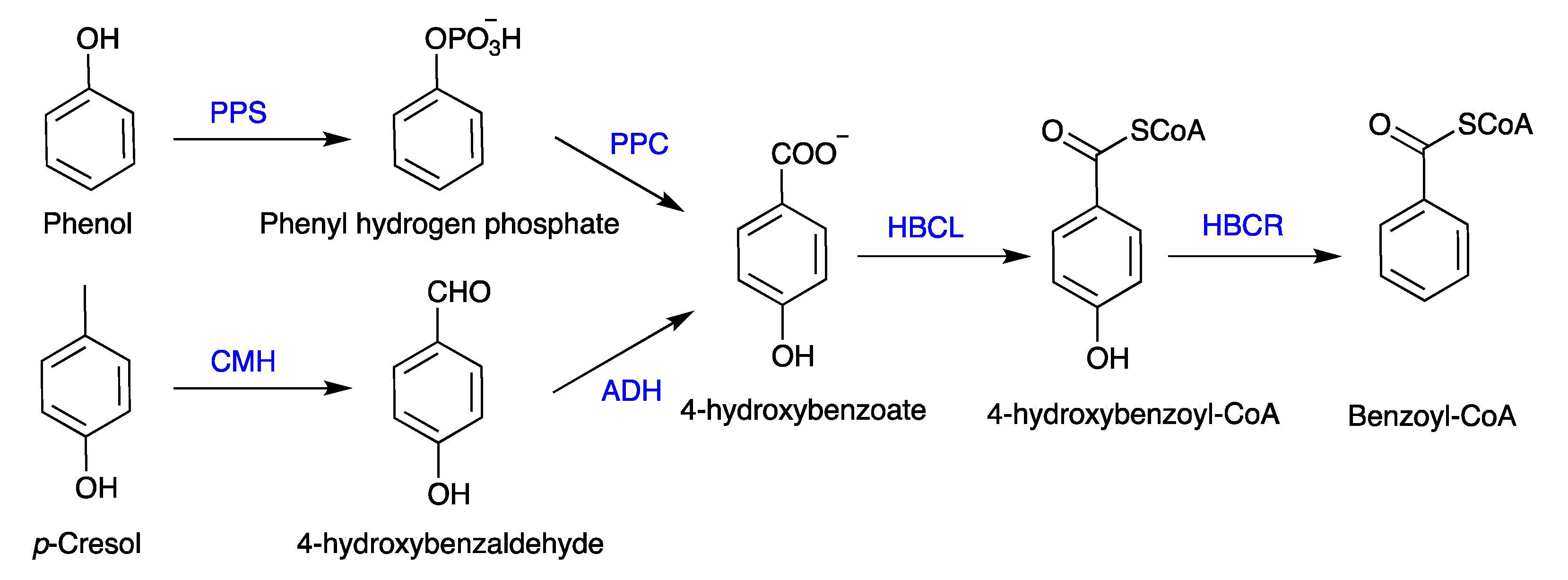 Polymers 16 00443 g002