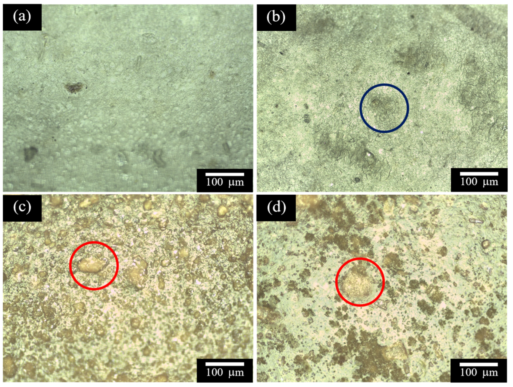 Polymers 16 00447 g002