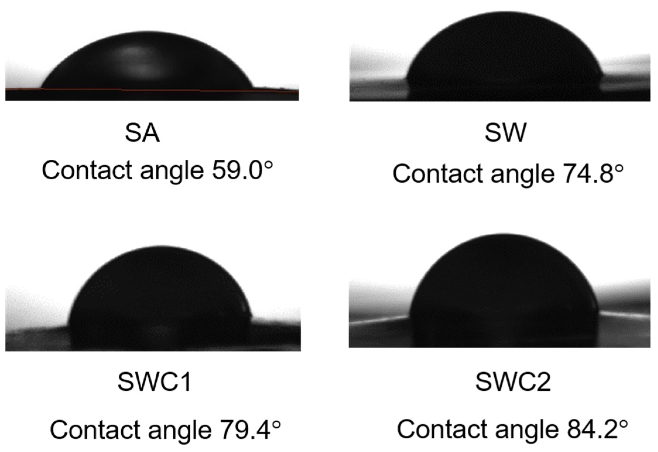 Polymers 16 00447 g004