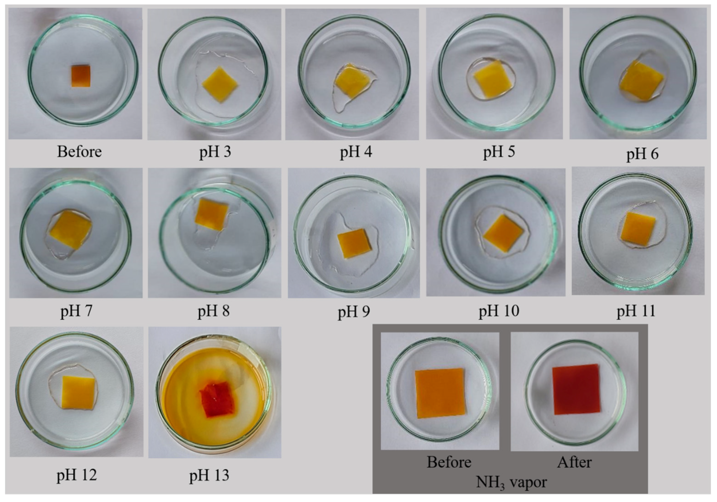 Polymers 16 00447 g008