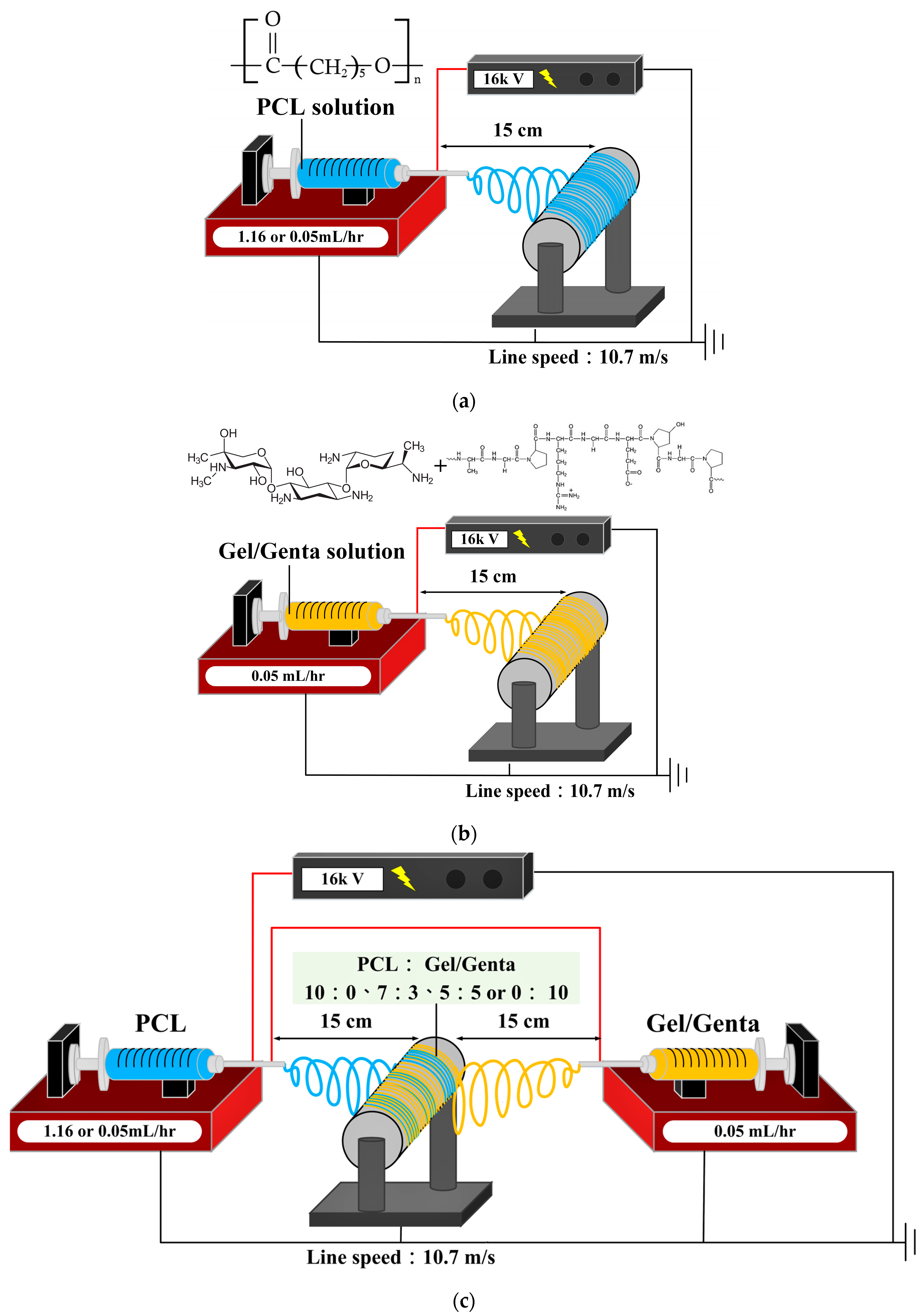 Polymers 16 00448 g001