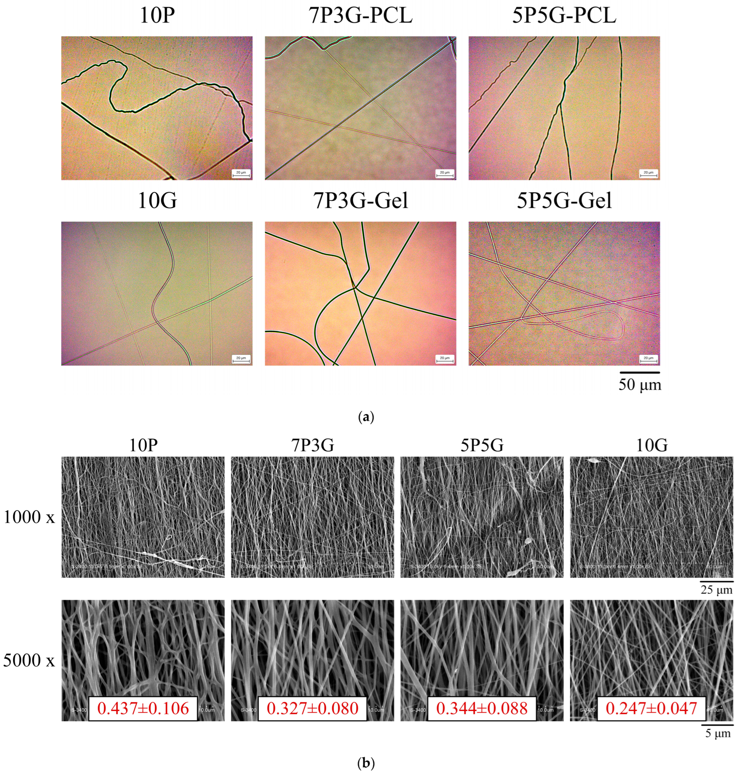 Polymers 16 00448 g002