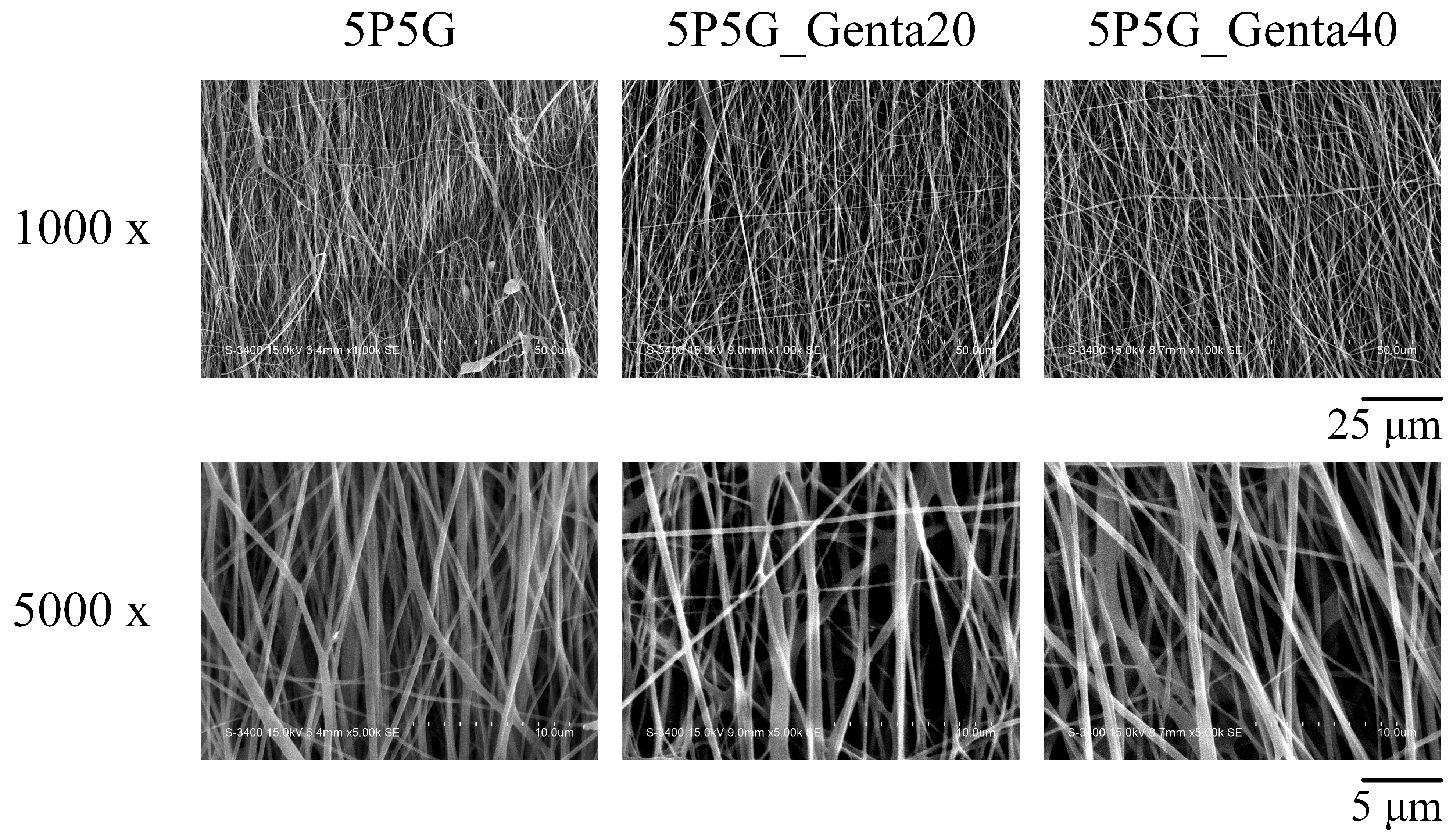 Polymers 16 00448 g006
