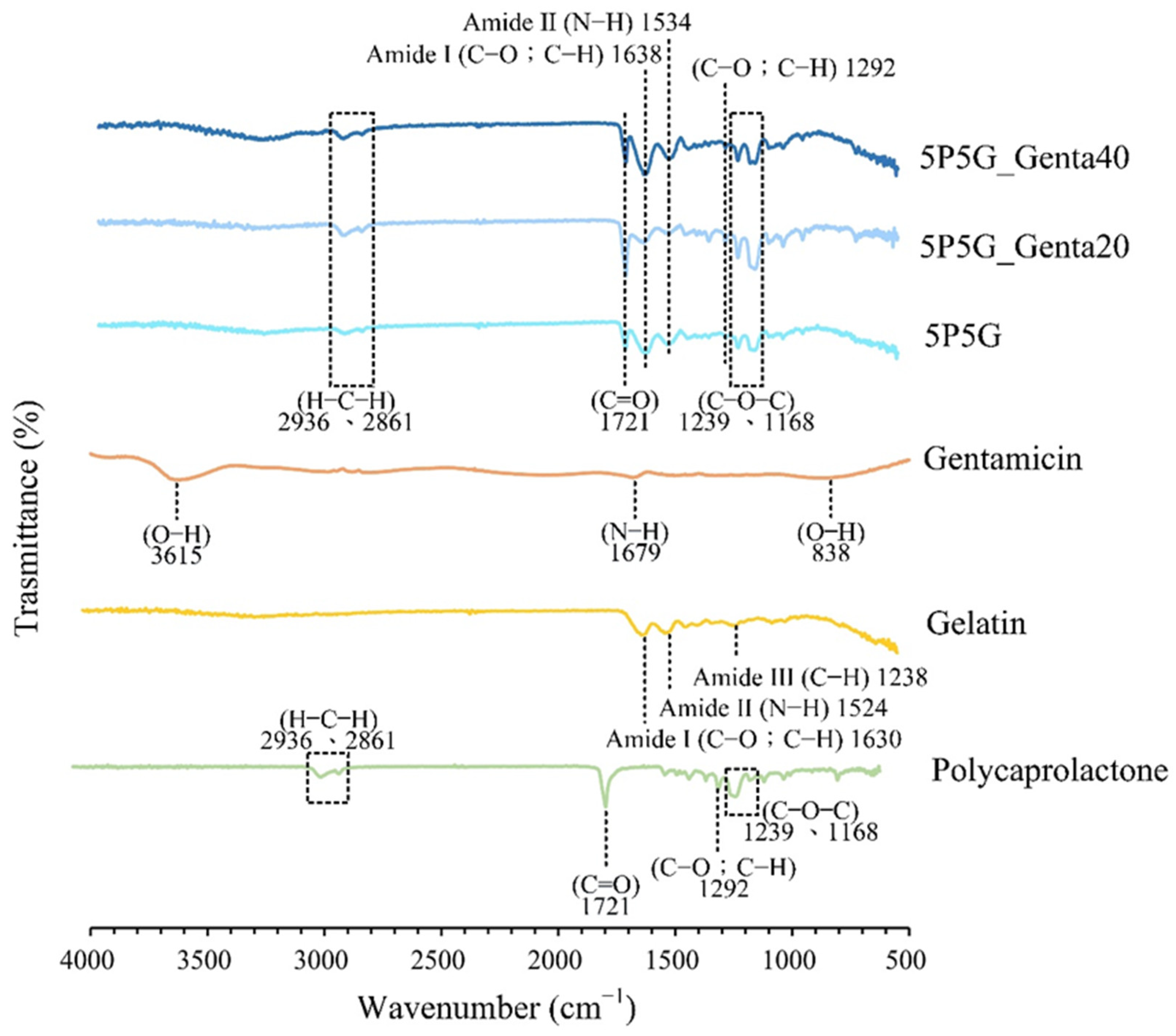 Polymers 16 00448 g008