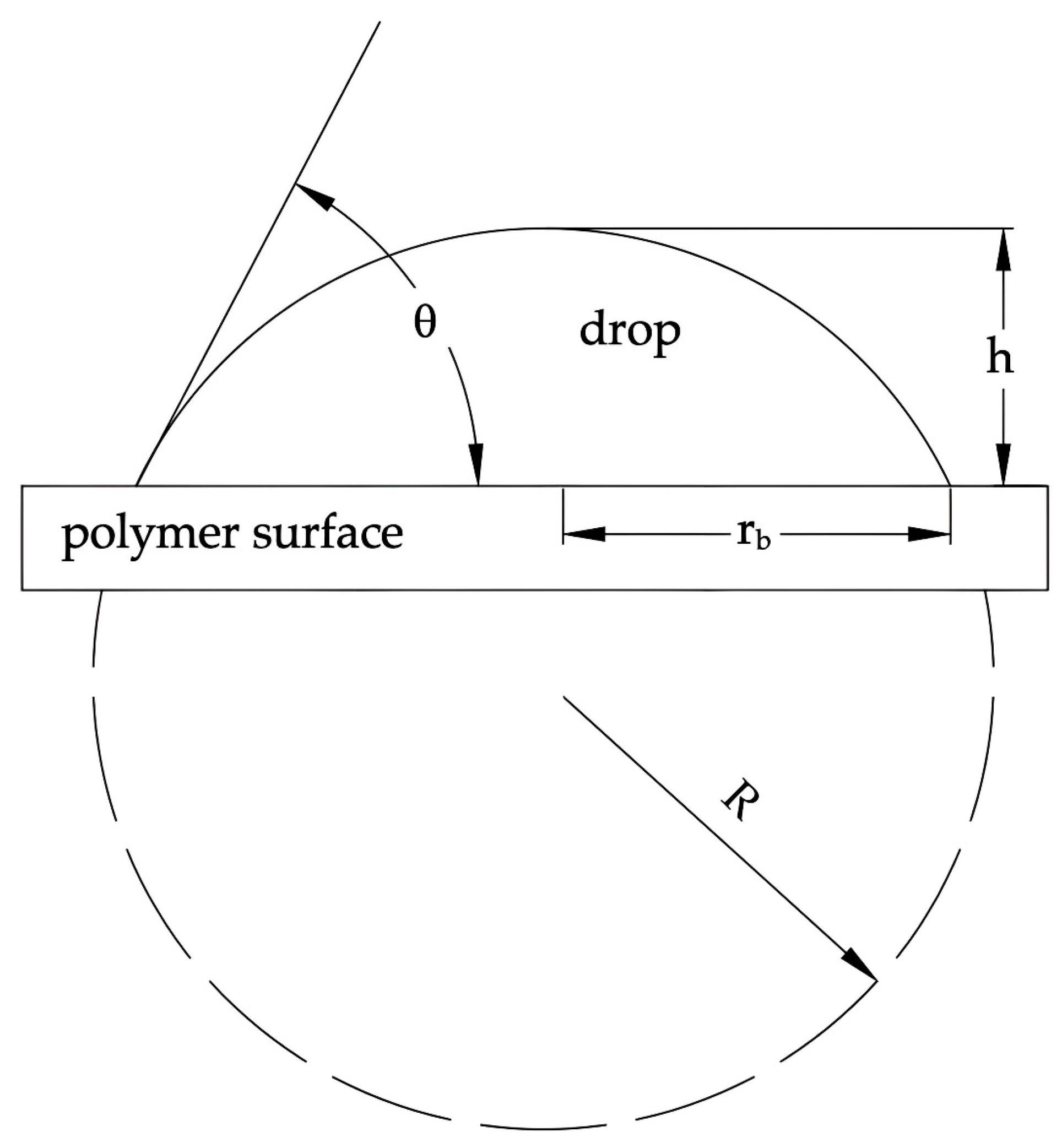 Polymers 16 00450 g001