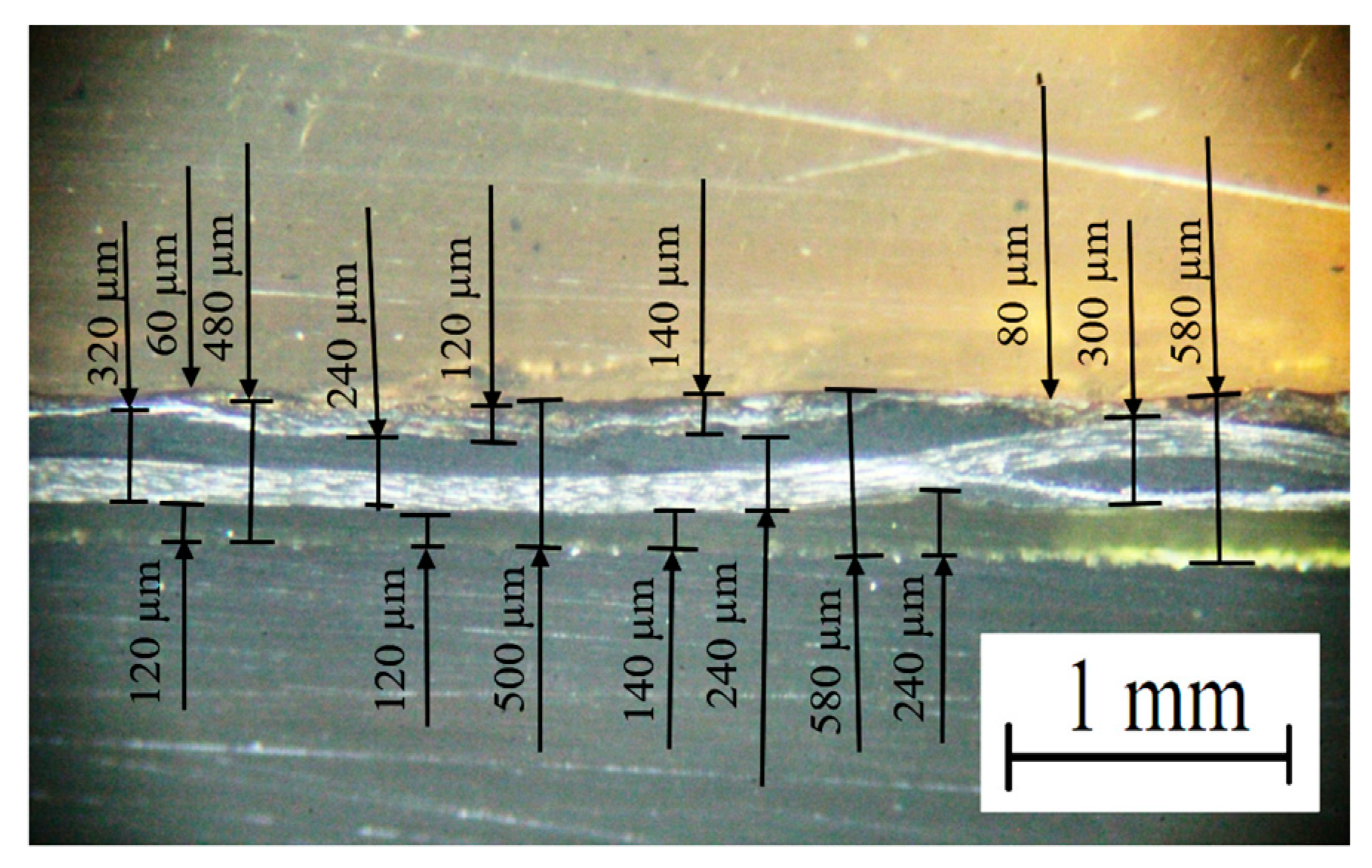 Polymers 16 00451 g010