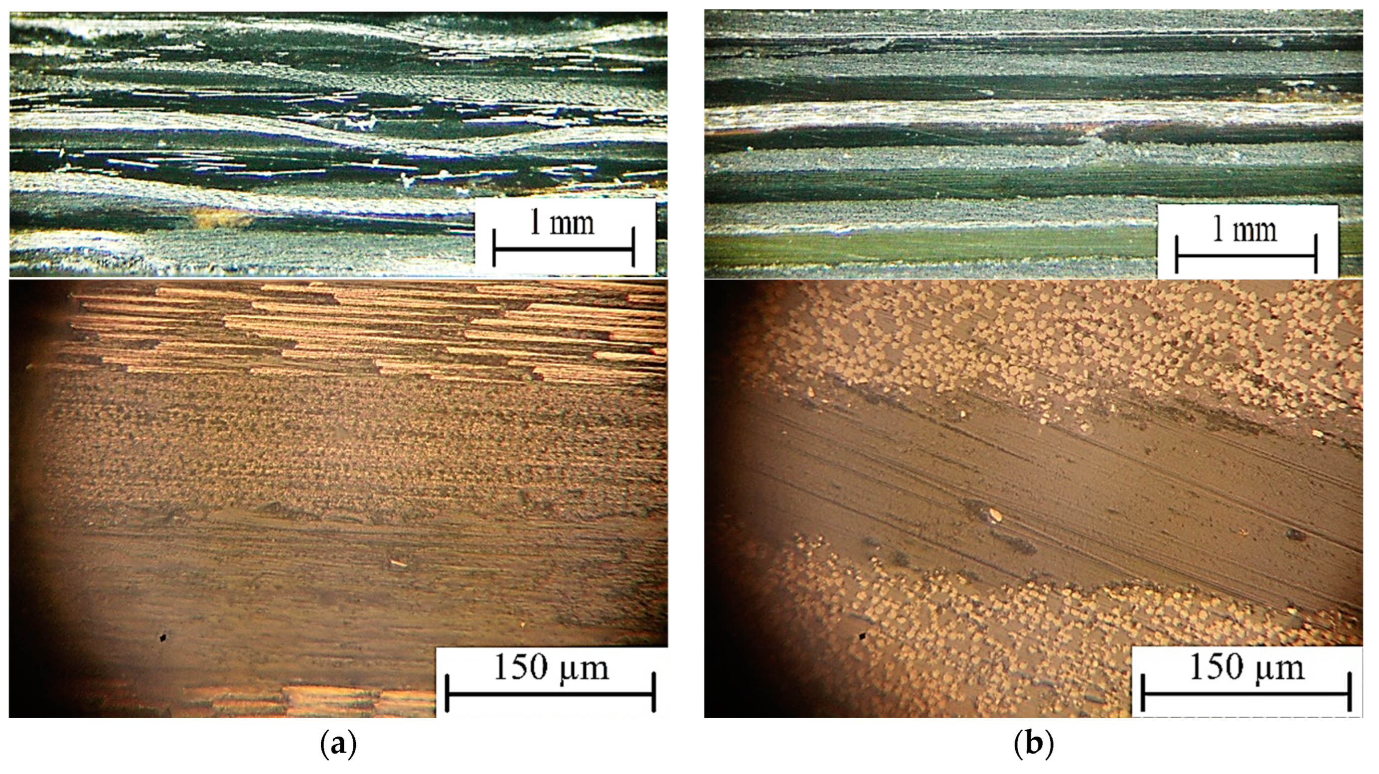 Polymers 16 00451 g012