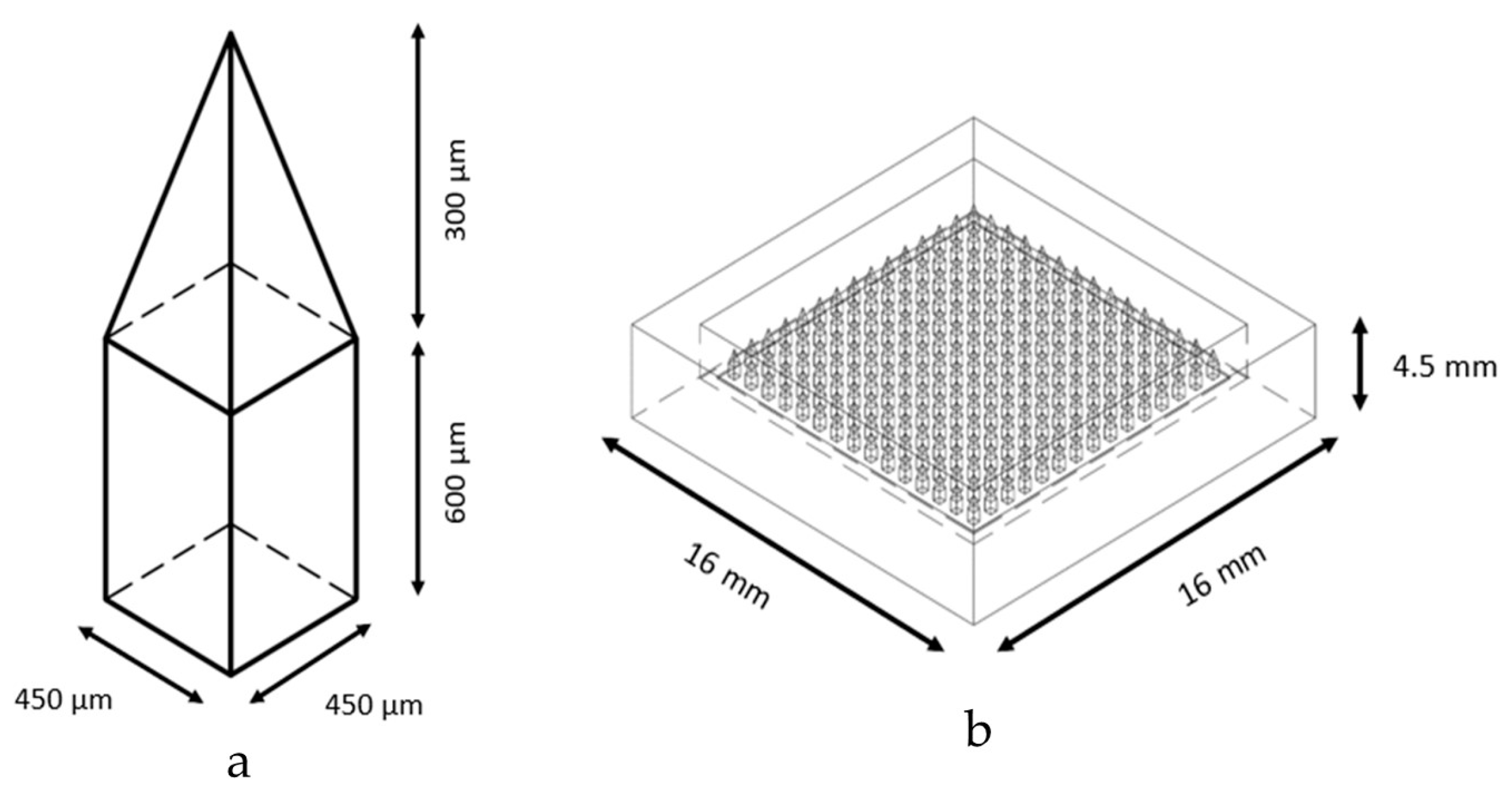 Polymers 16 00452 g001