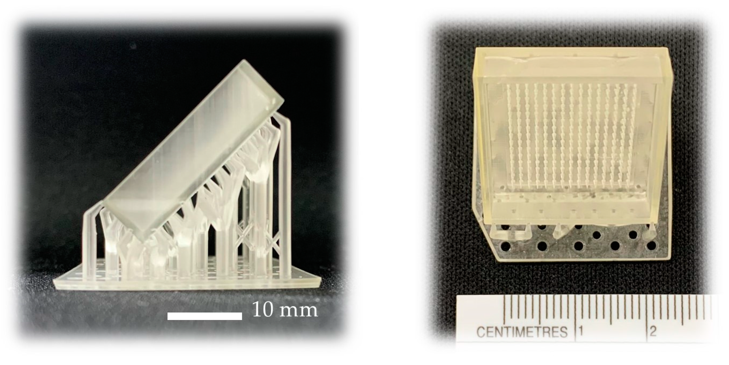 Polymers 16 00452 g002