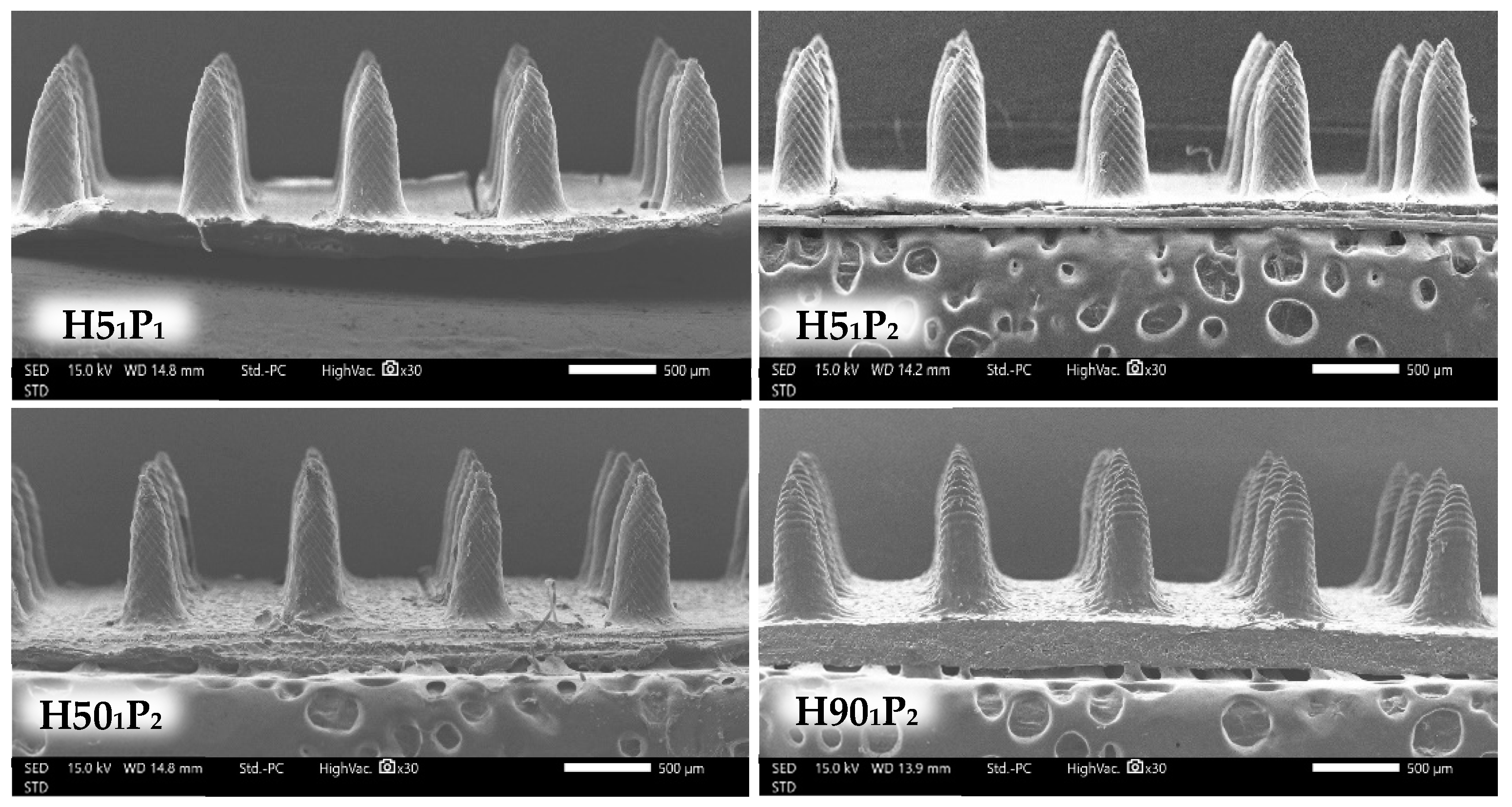 Polymers 16 00452 g005