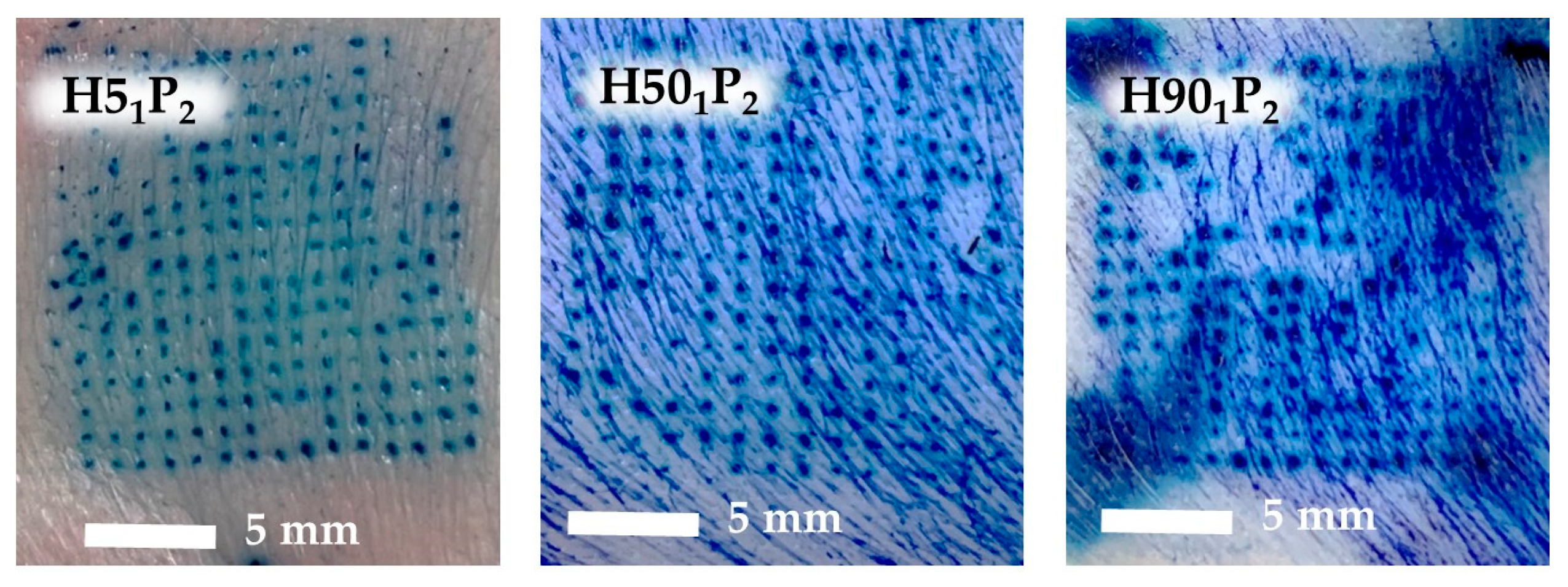 Polymers 16 00452 g006