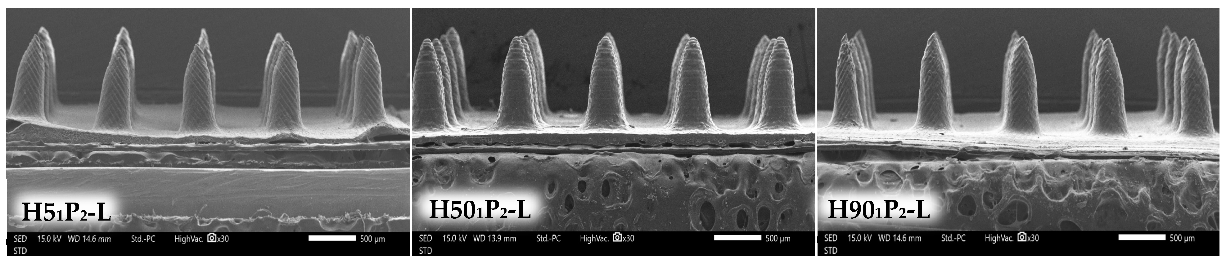 Polymers 16 00452 g007