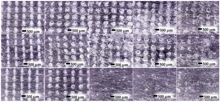 Polymers 16 00452 i001