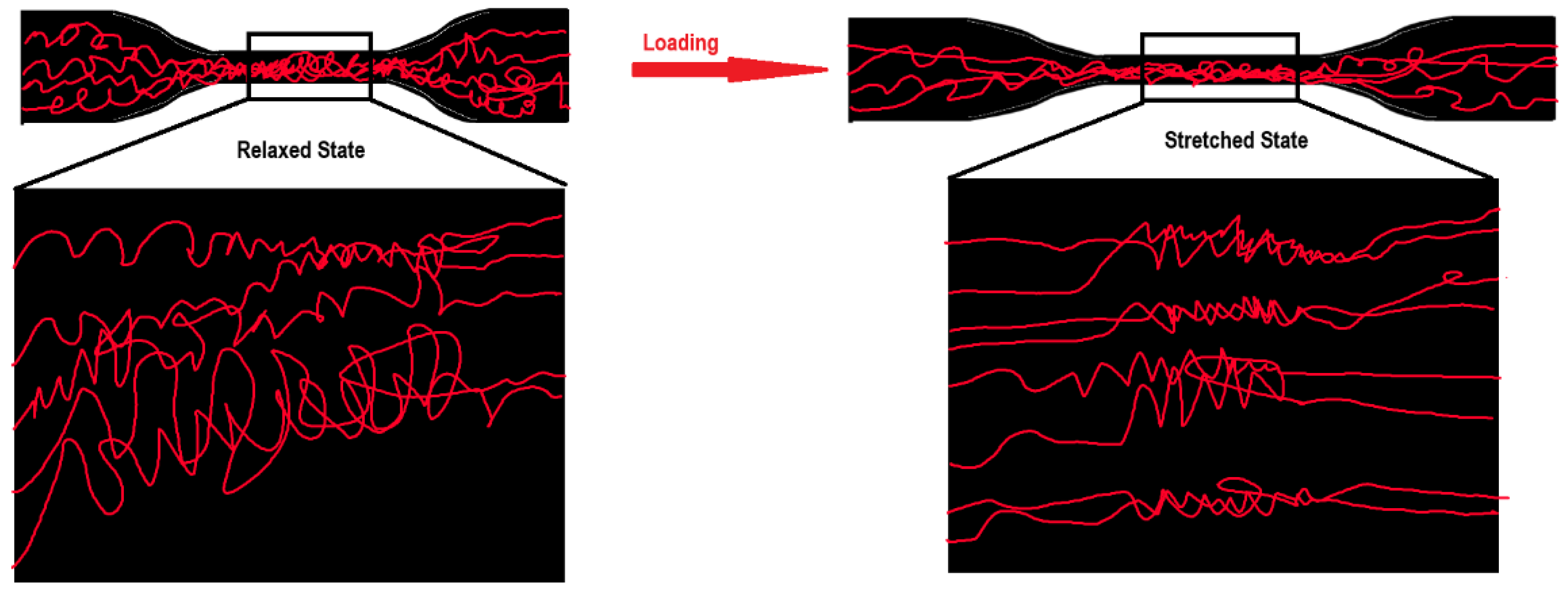 Polymers 16 00454 g003