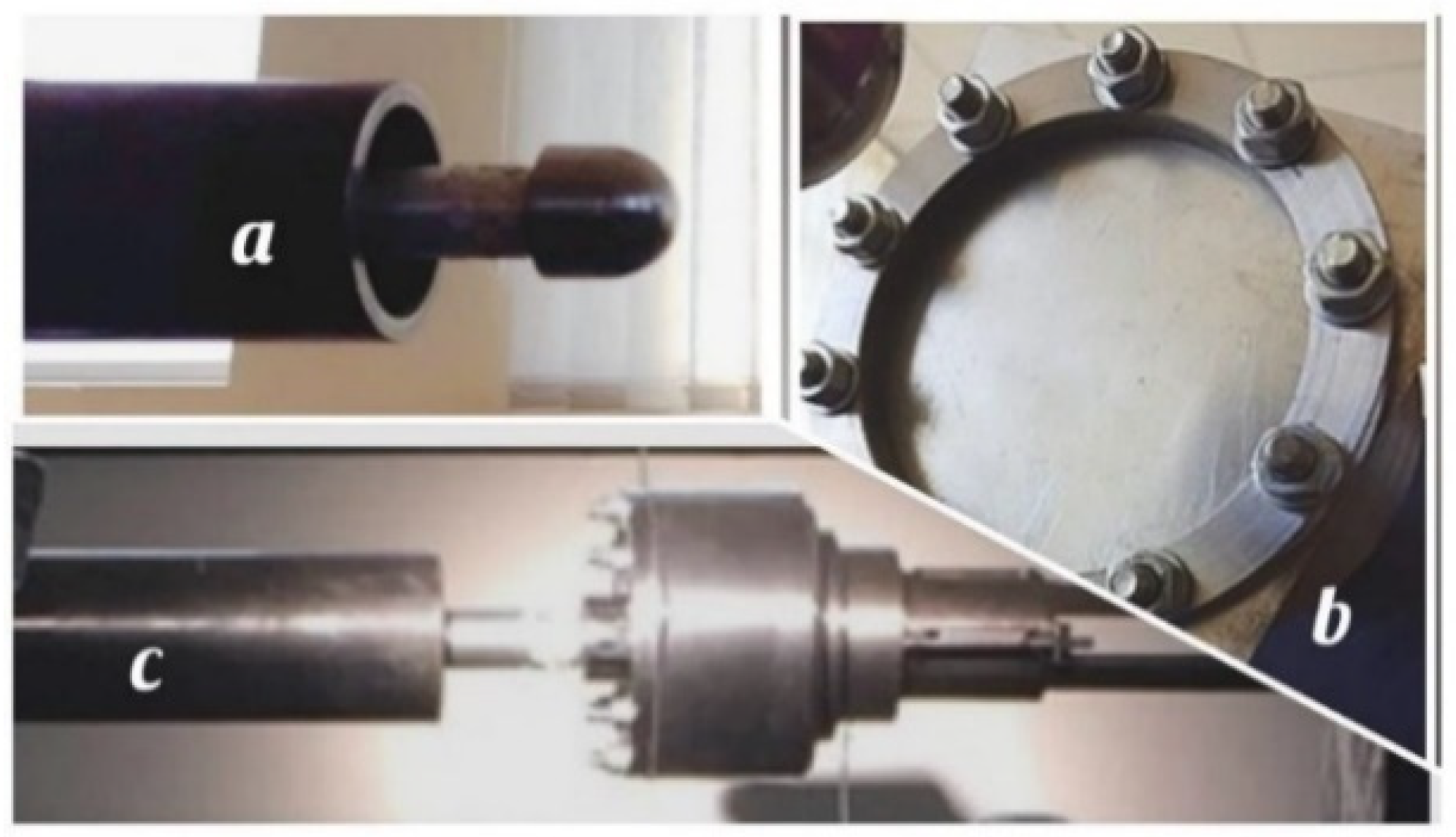 Polymers 16 00454 g007