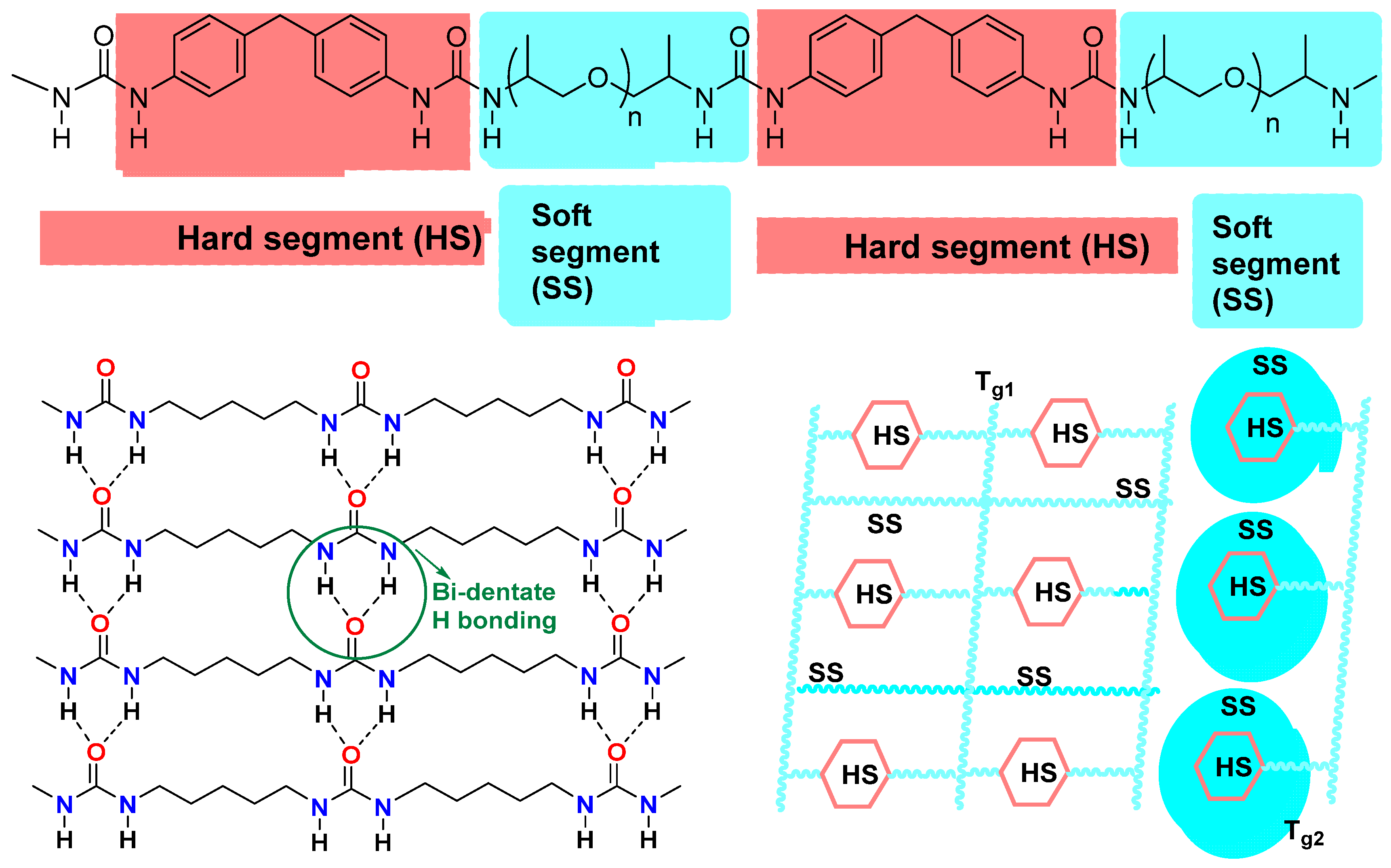 Polymers 16 00454 sch004