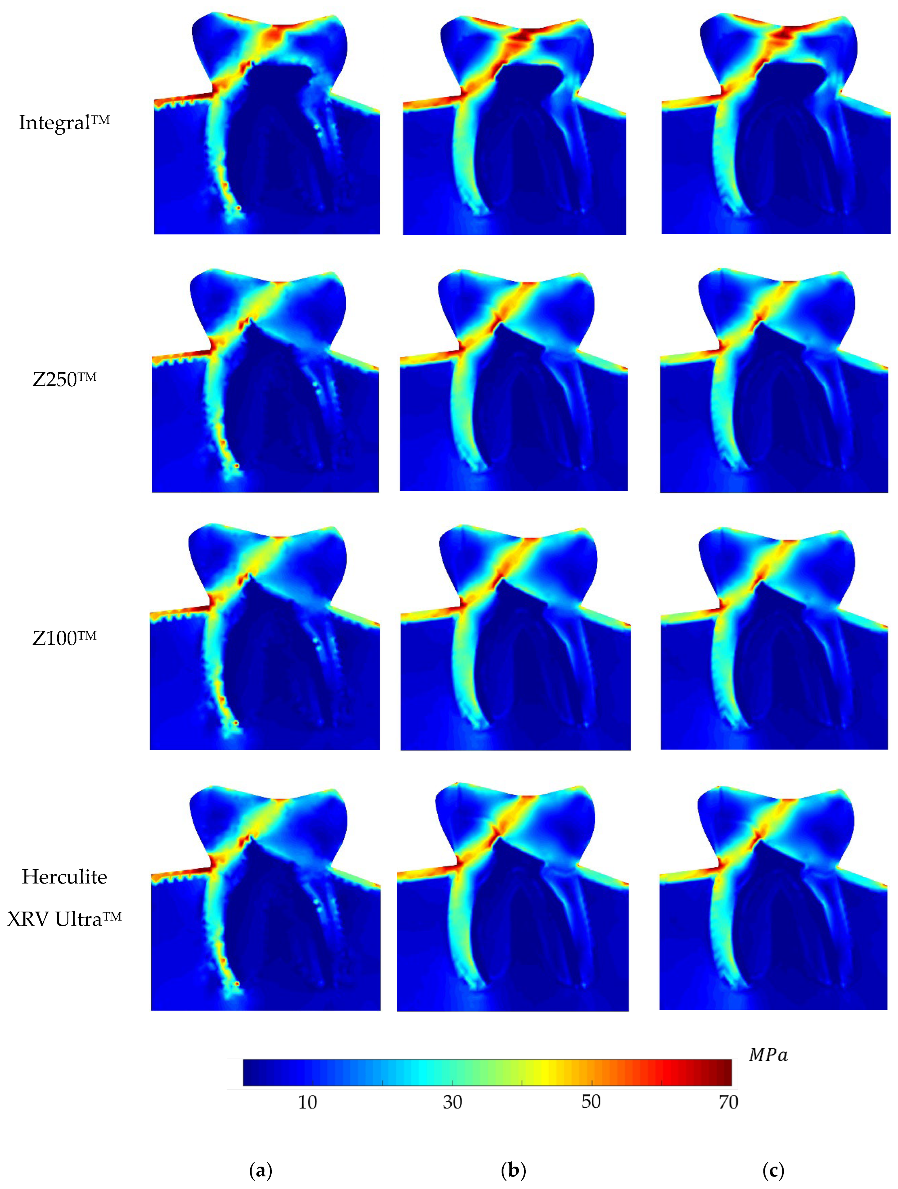 Polymers 16 00458 g007