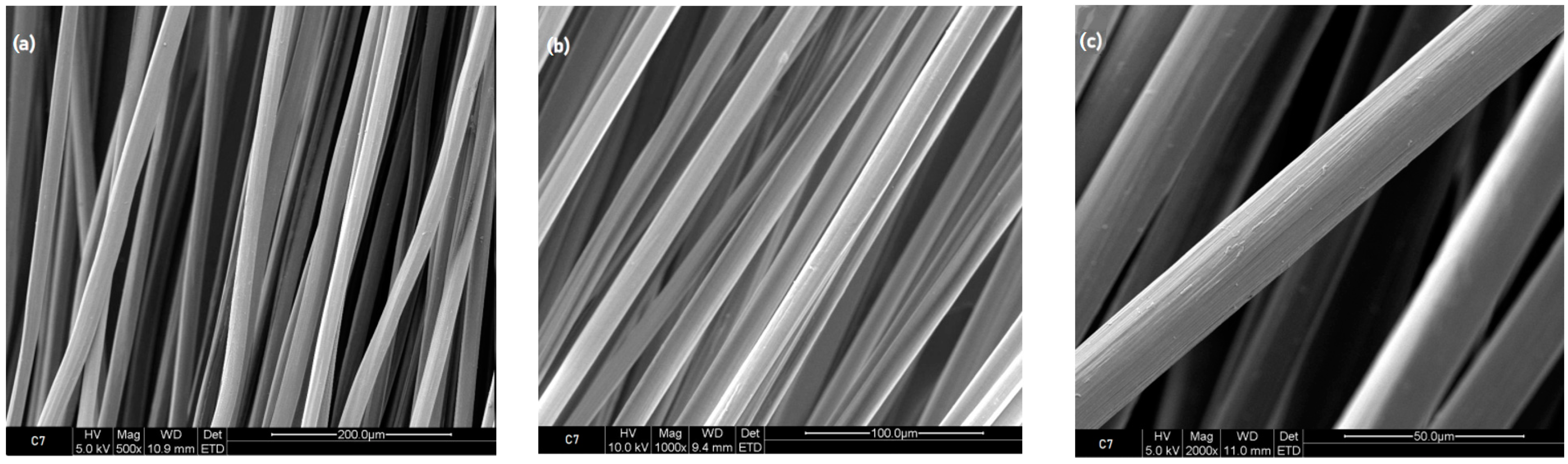 Polymers 16 00461 g003