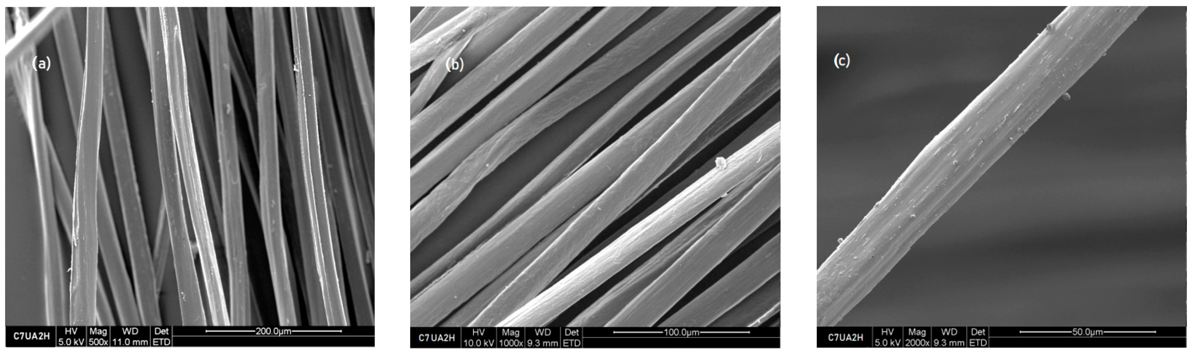 Polymers 16 00461 g004