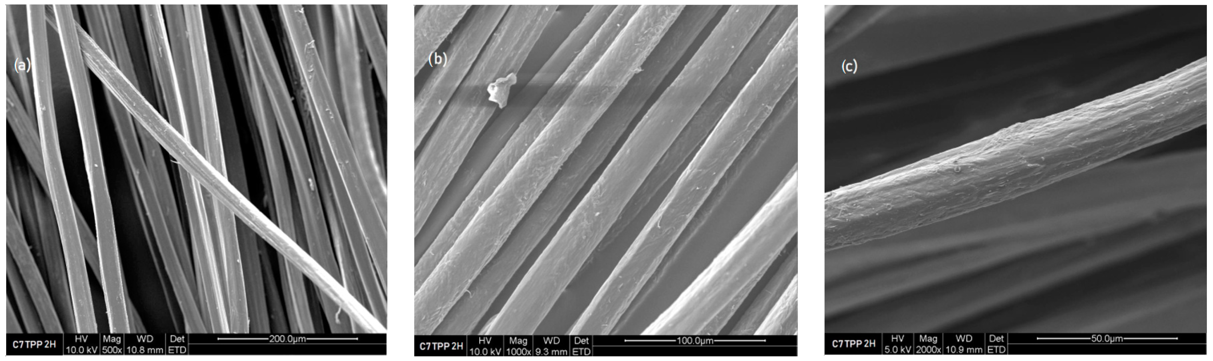 Polymers 16 00461 g011
