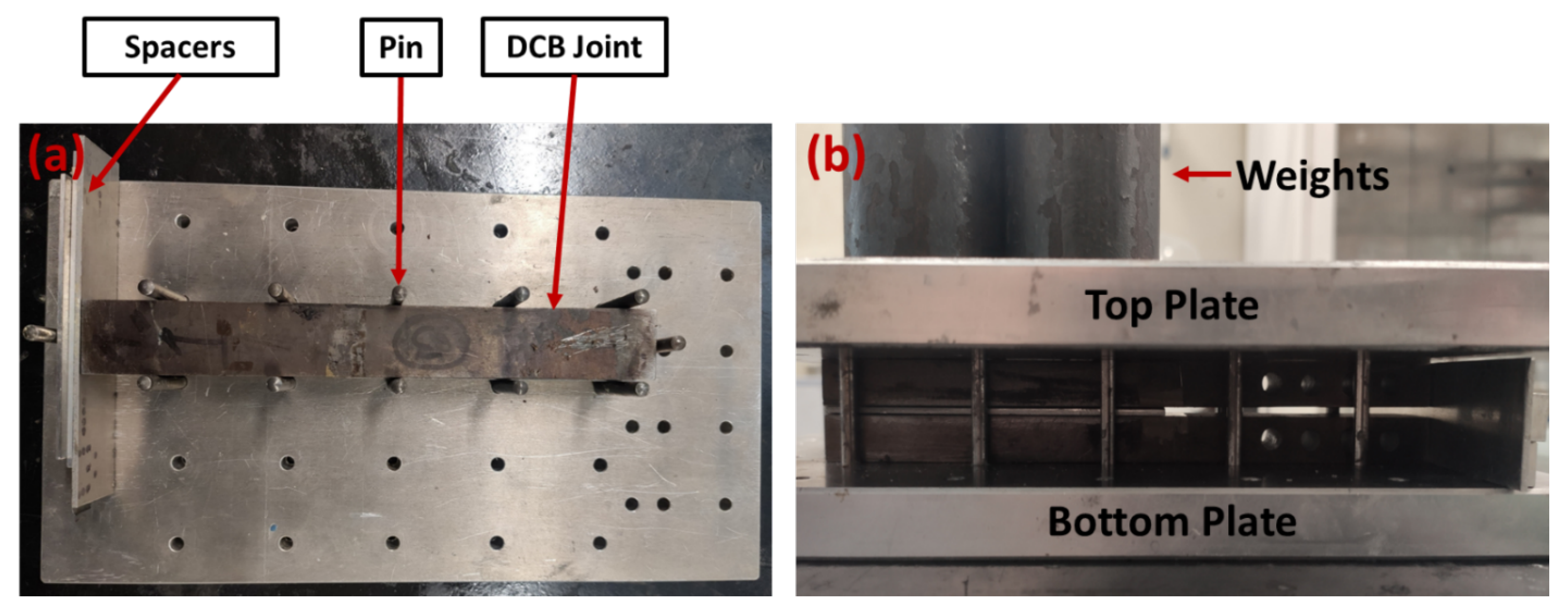 Polymers 16 00463 g003