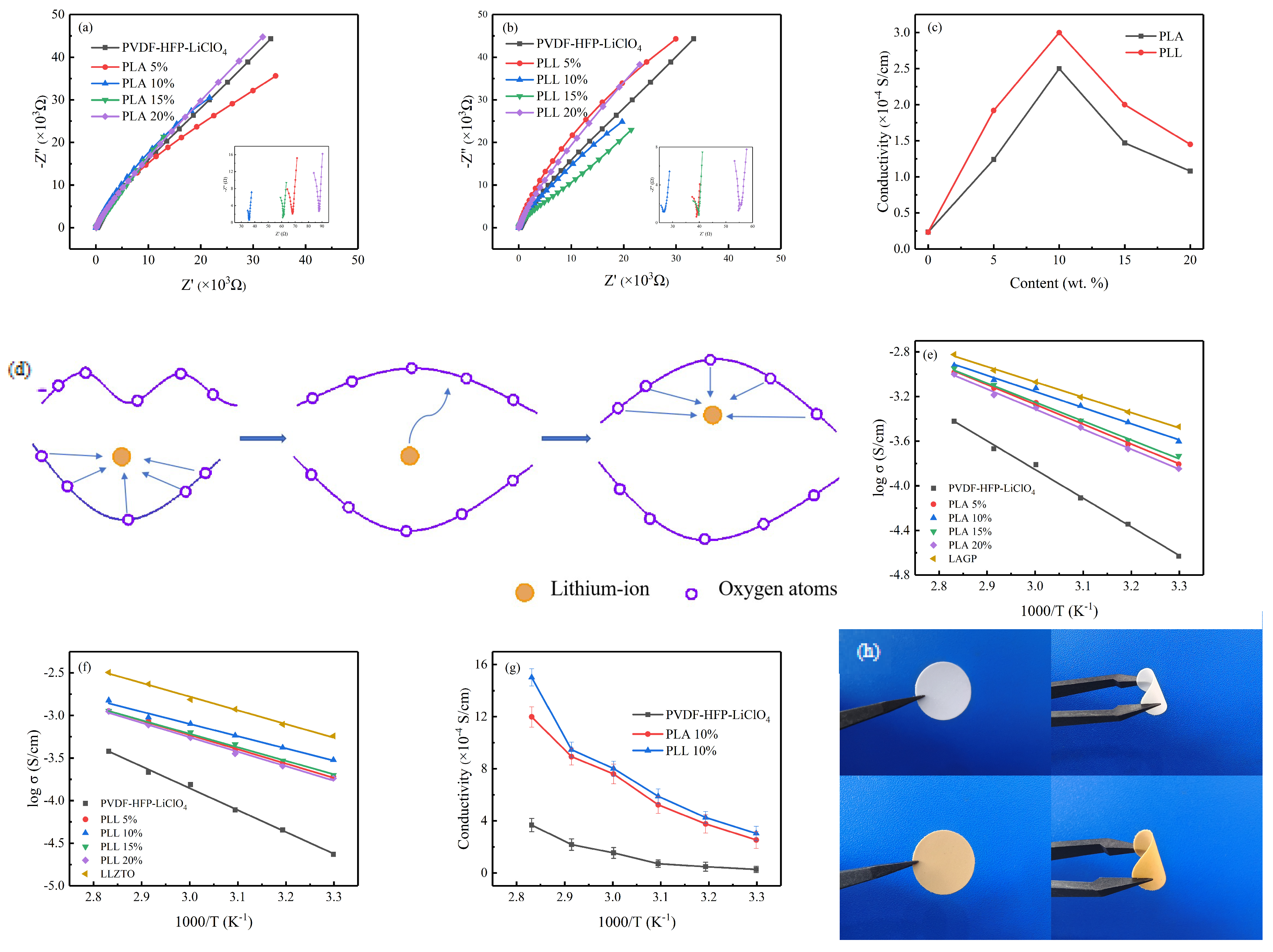 Polymers 16 00464 g002