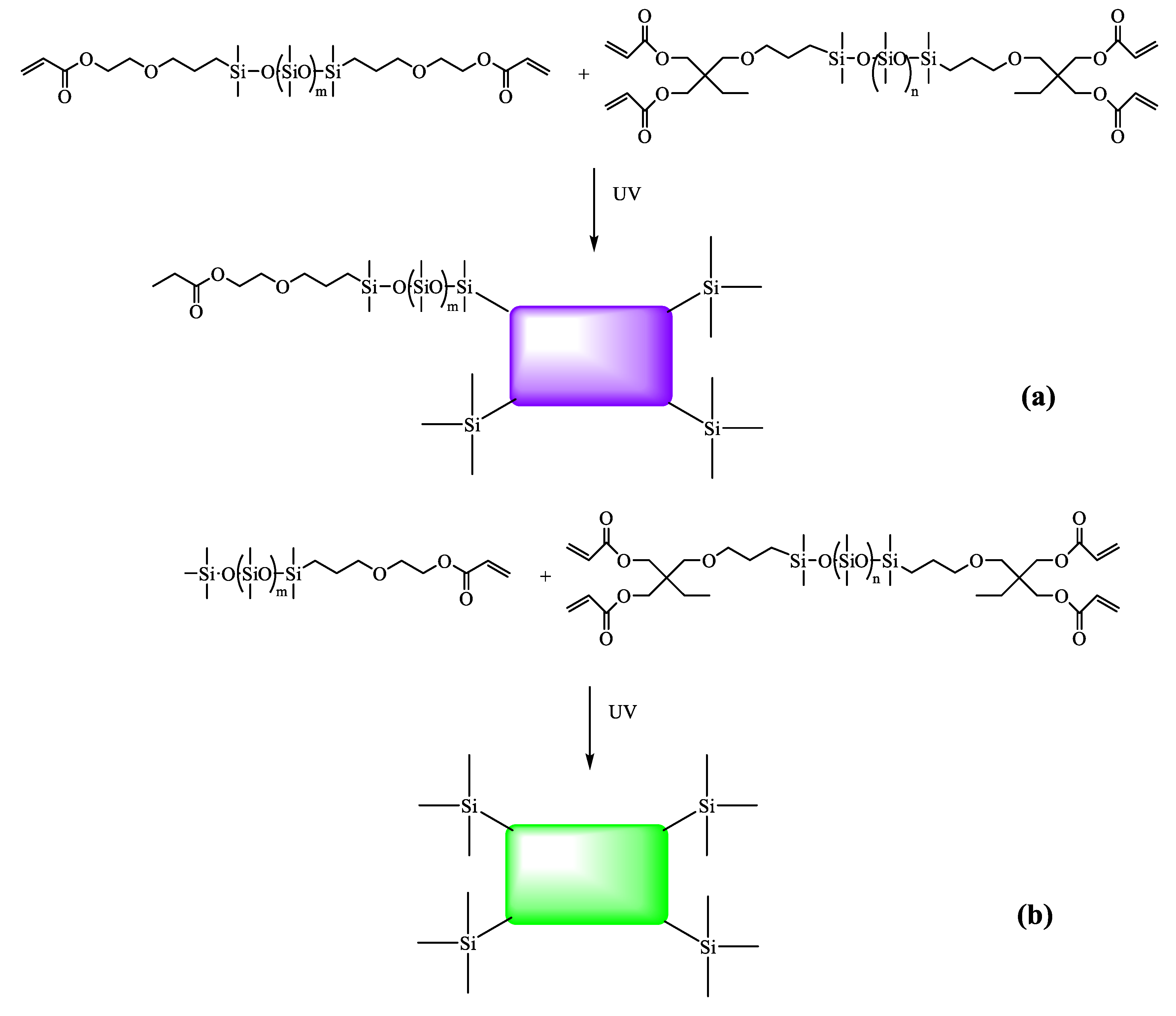 Polymers 16 00465 g011