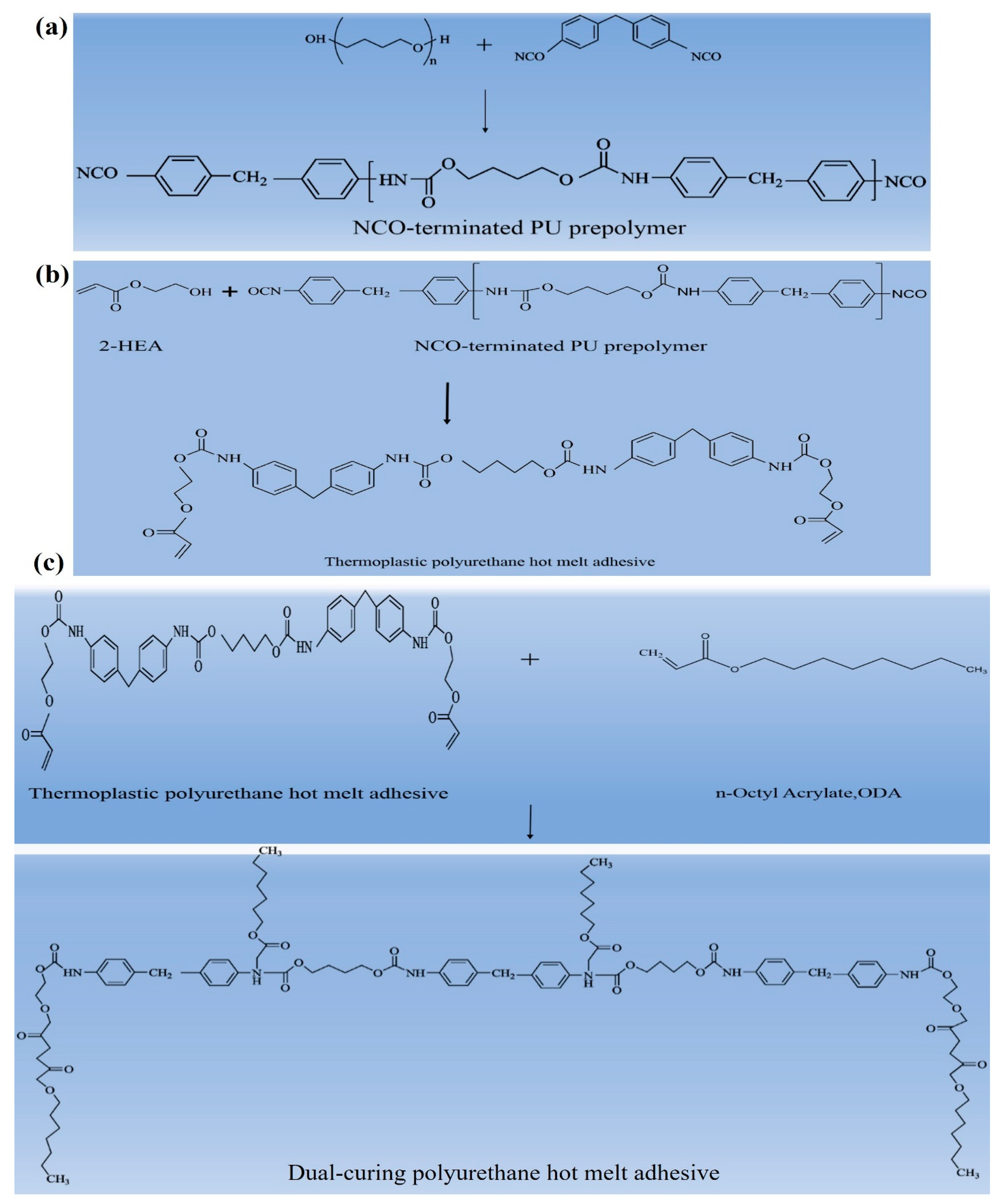 Polymers 16 00467 g003