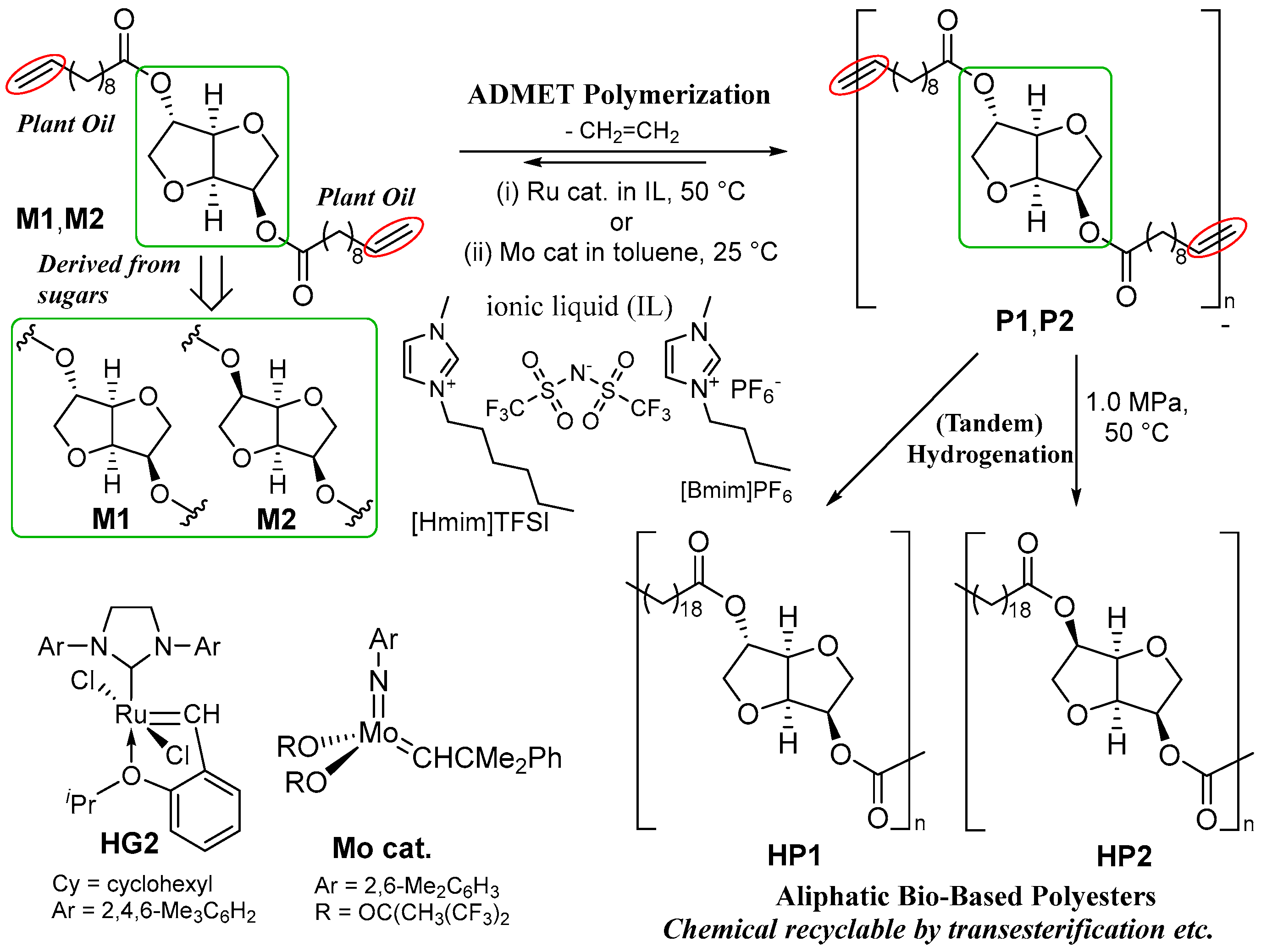 Polymers 16 00468 sch001
