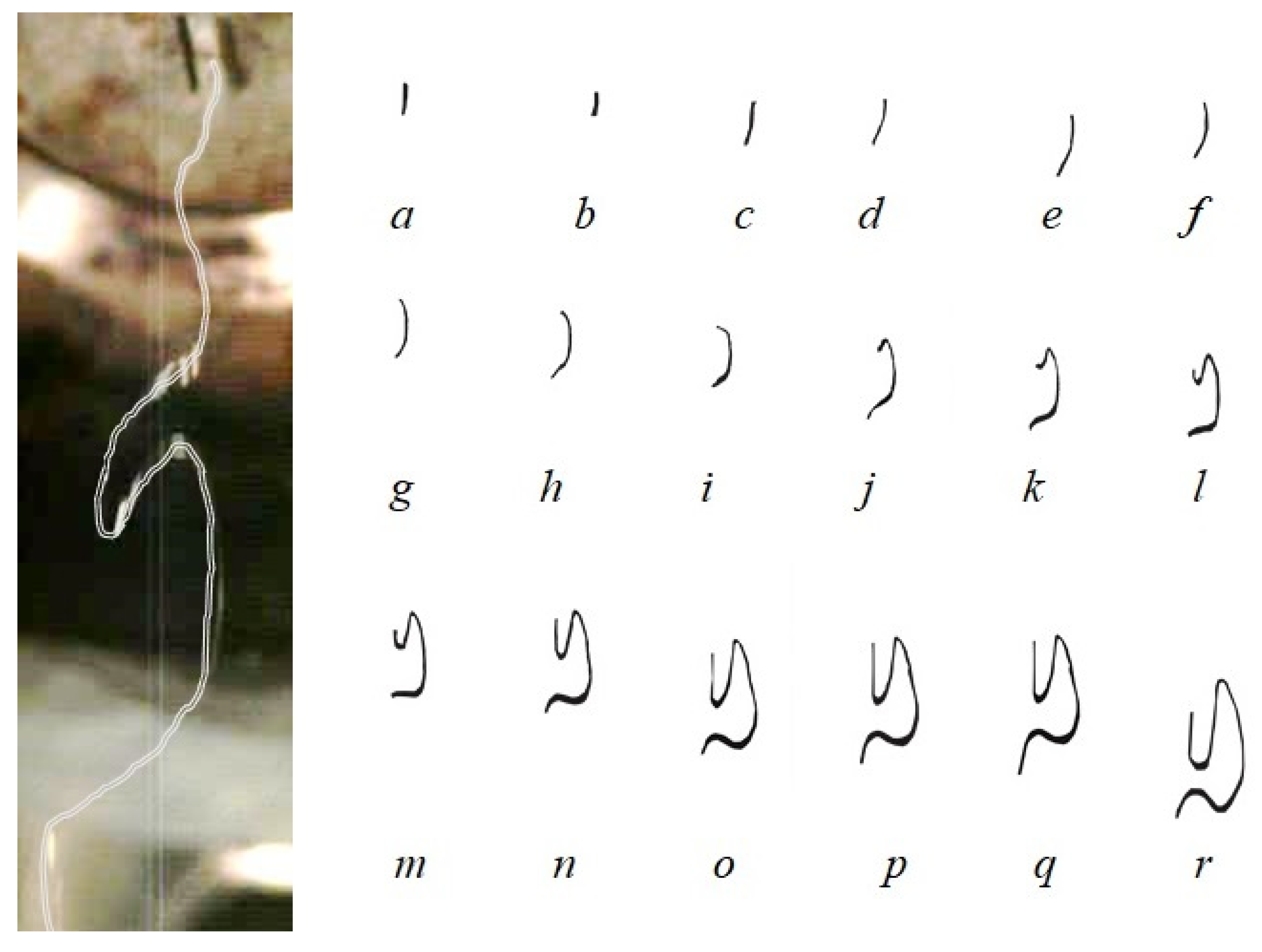 Polymers 16 00469 g010