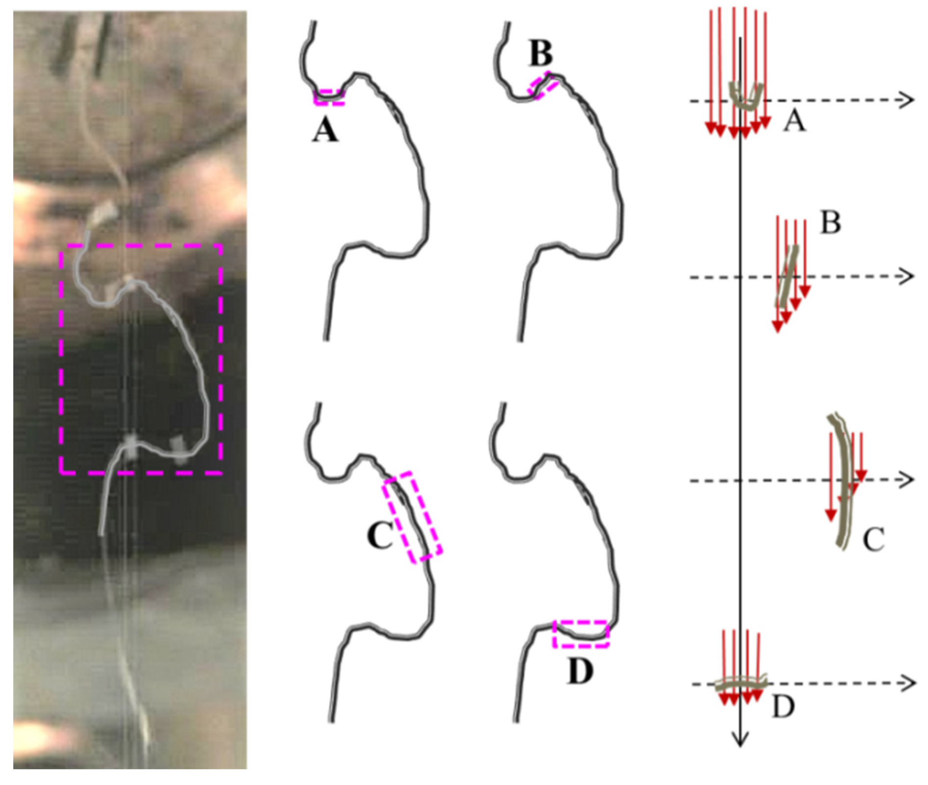 Polymers 16 00469 g011