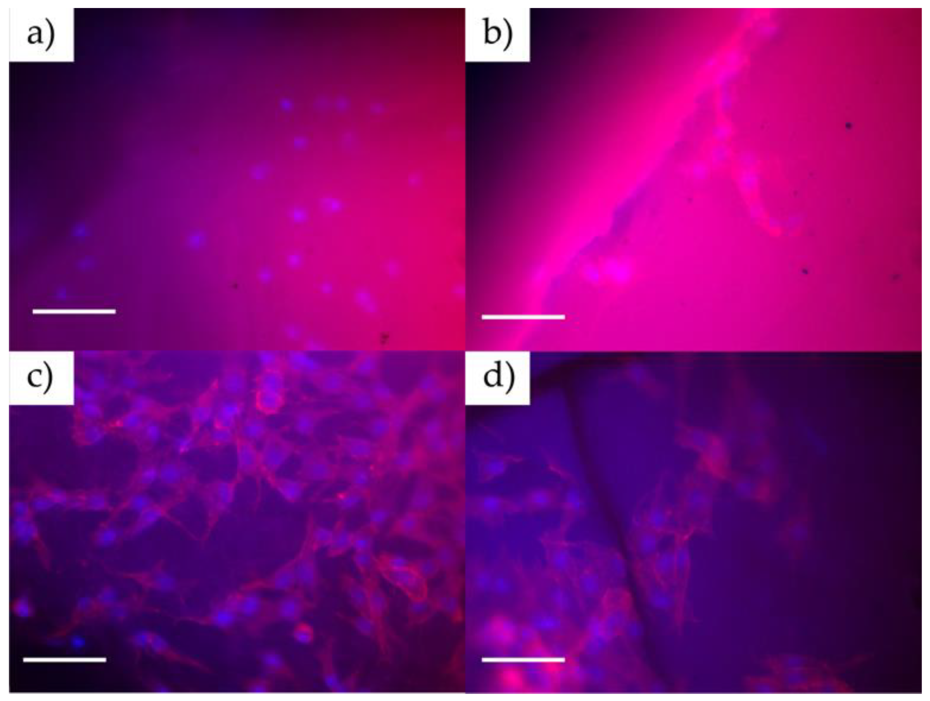 Polymers 16 00472 g006