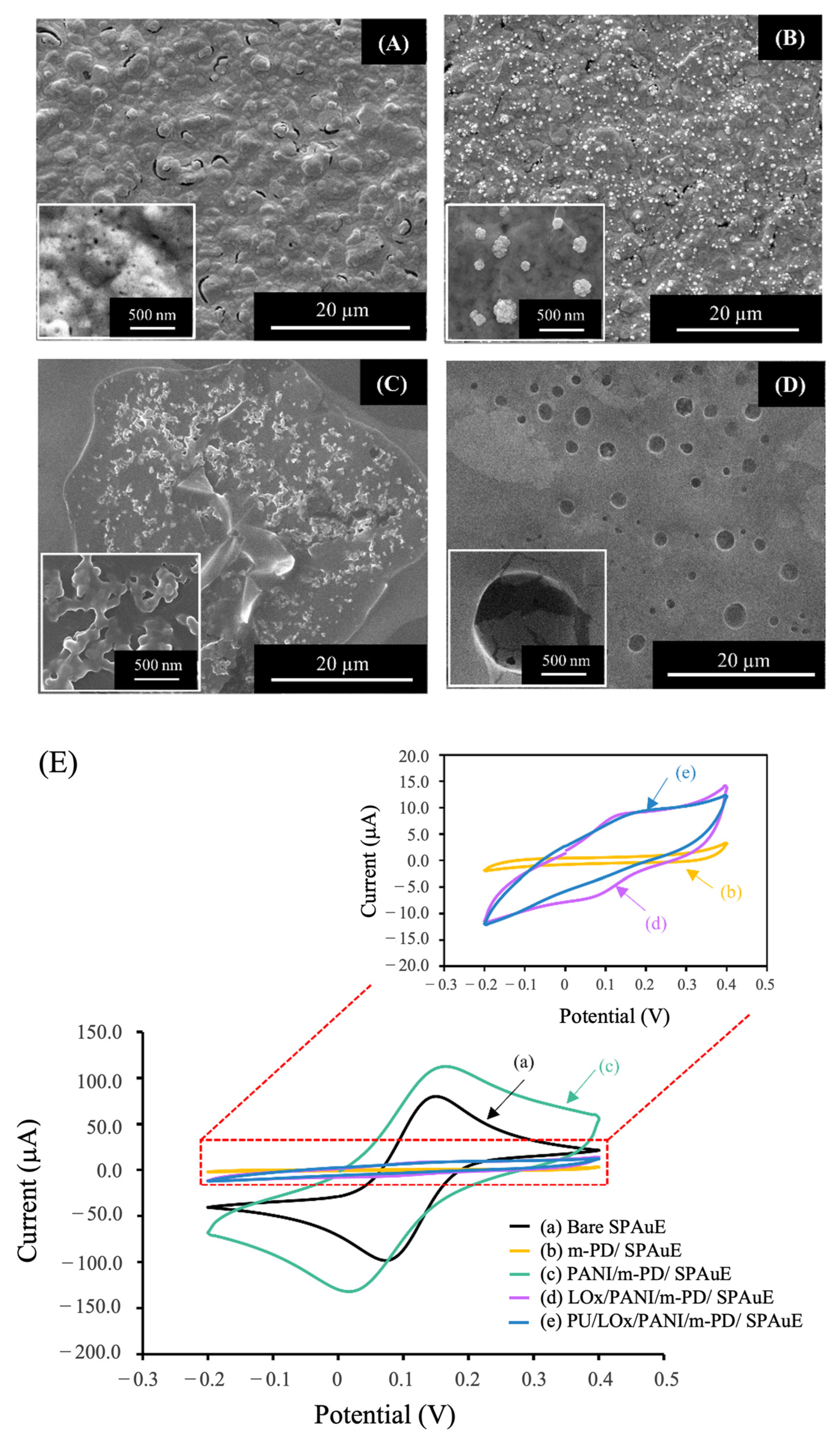 Polymers 16 00473 g002