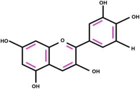 Polymers 16 00476 i002 Polymers 16 00476 i002