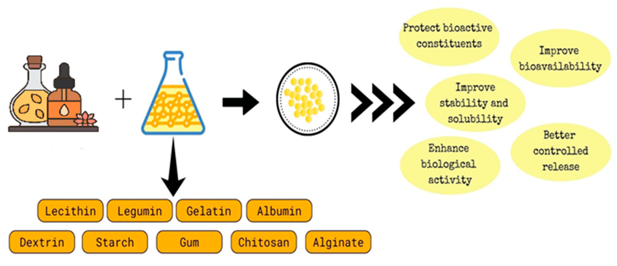 Polymers 16 00478 g002
