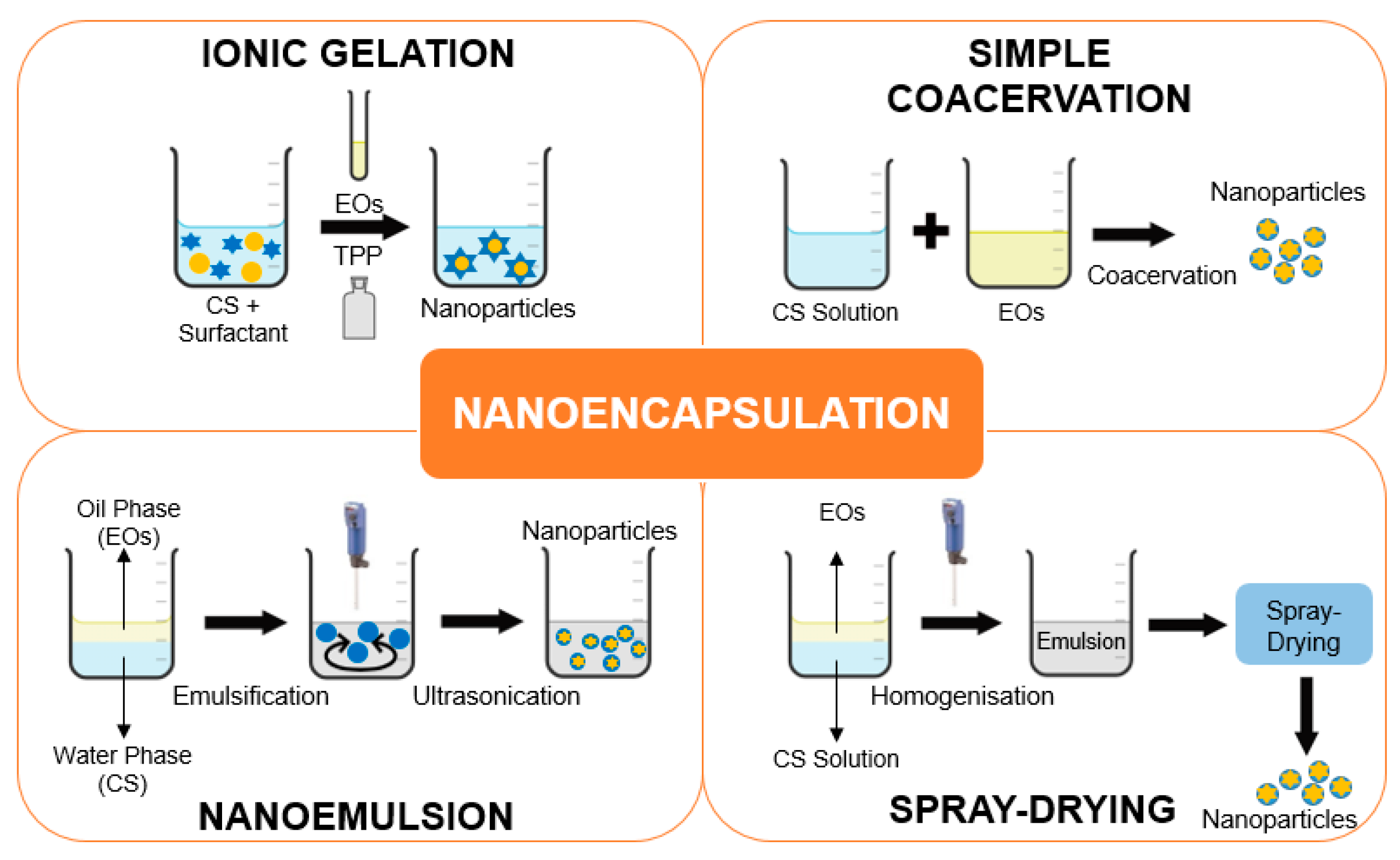 Polymers 16 00478 g003