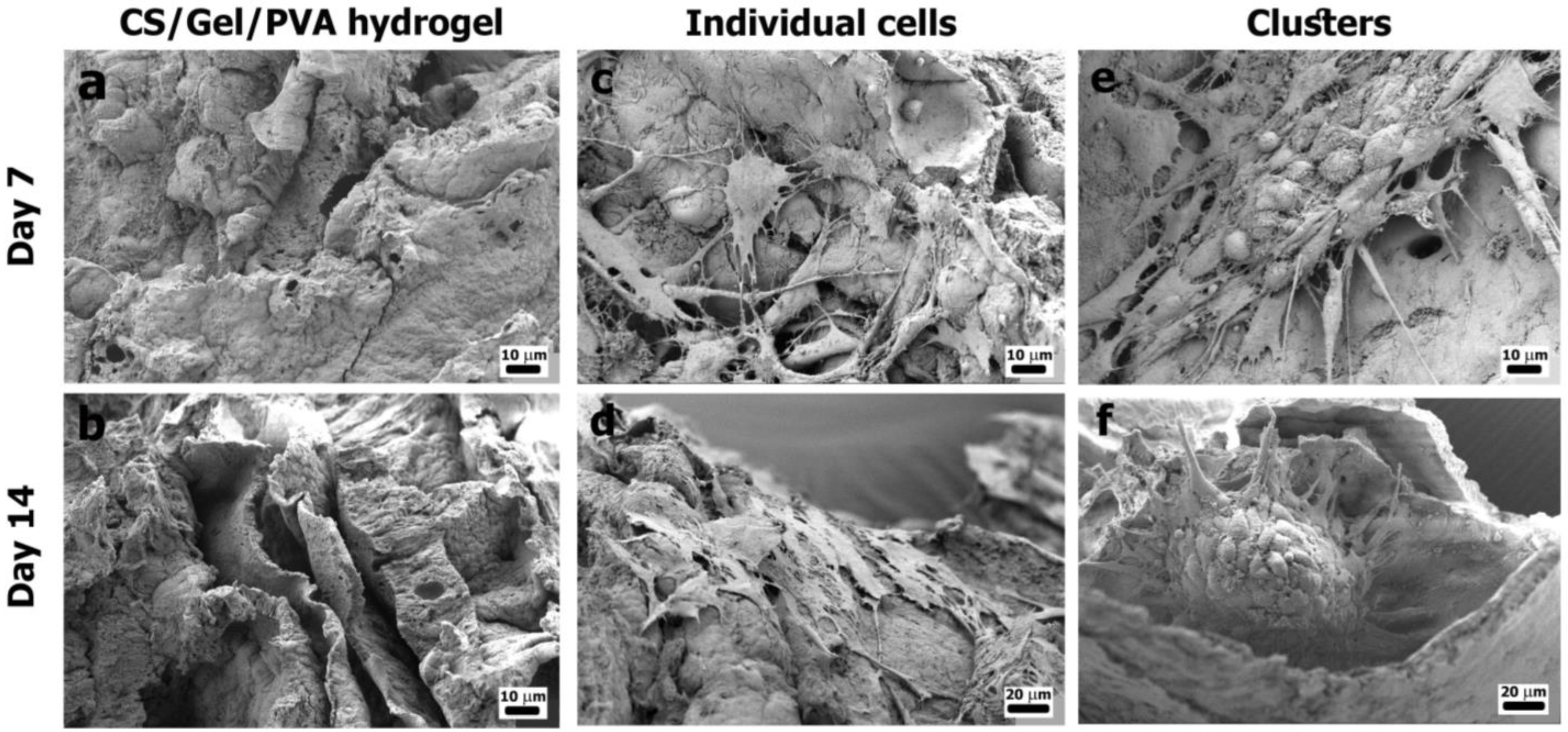 Polymers 16 00479 g006 Polymers 16 00479 g006