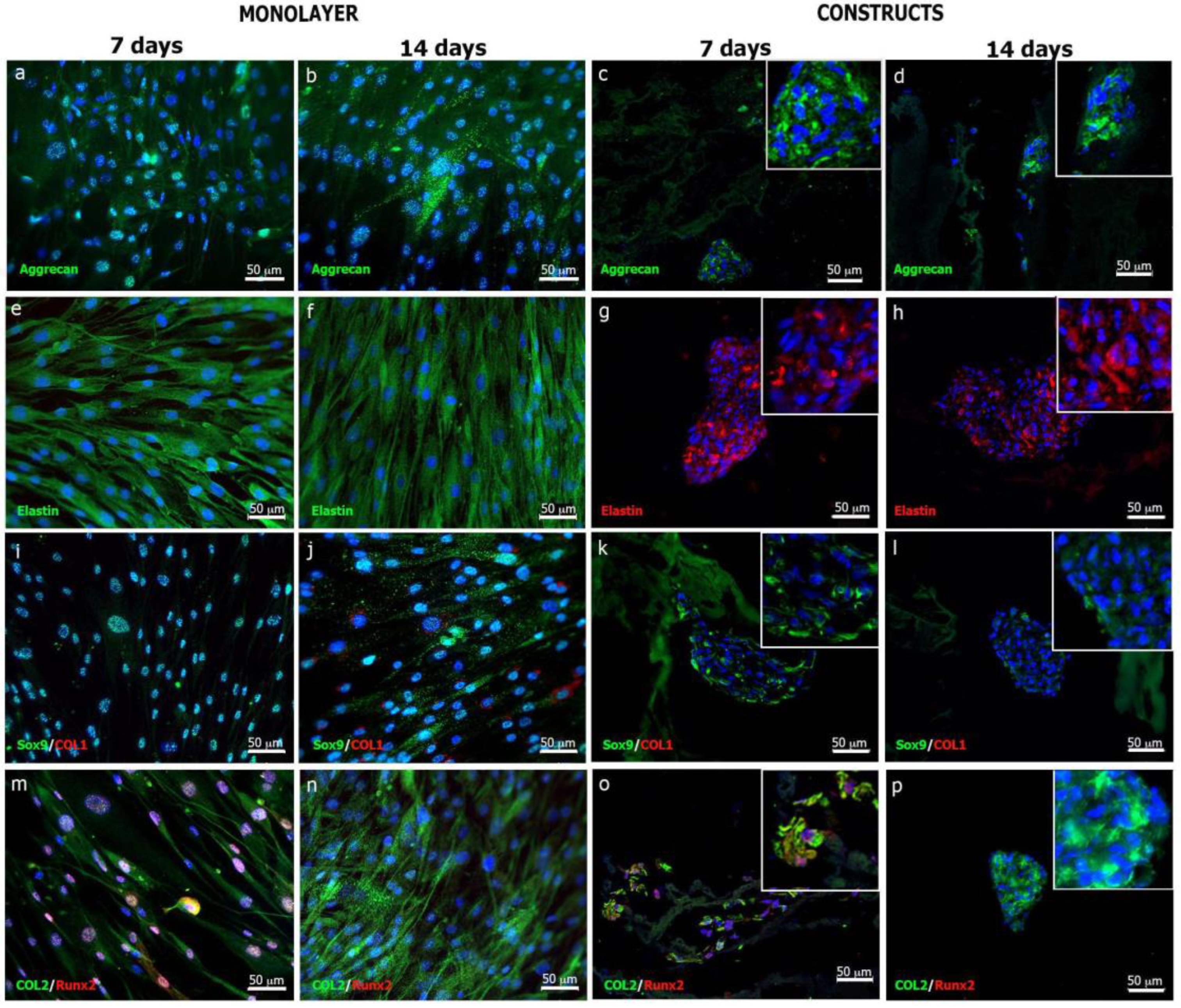 Polymers 16 00479 g007 Polymers 16 00479 g007