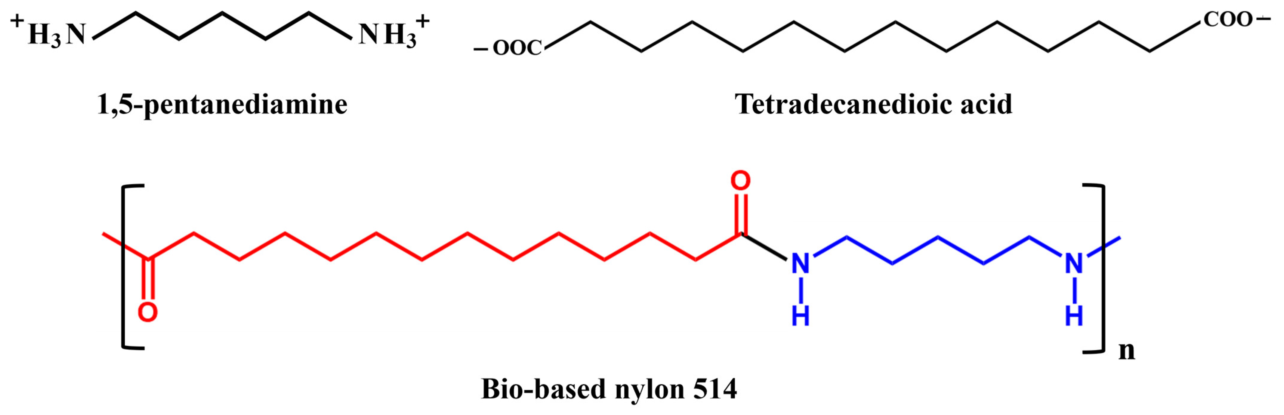 Polymers 16 00480 g001