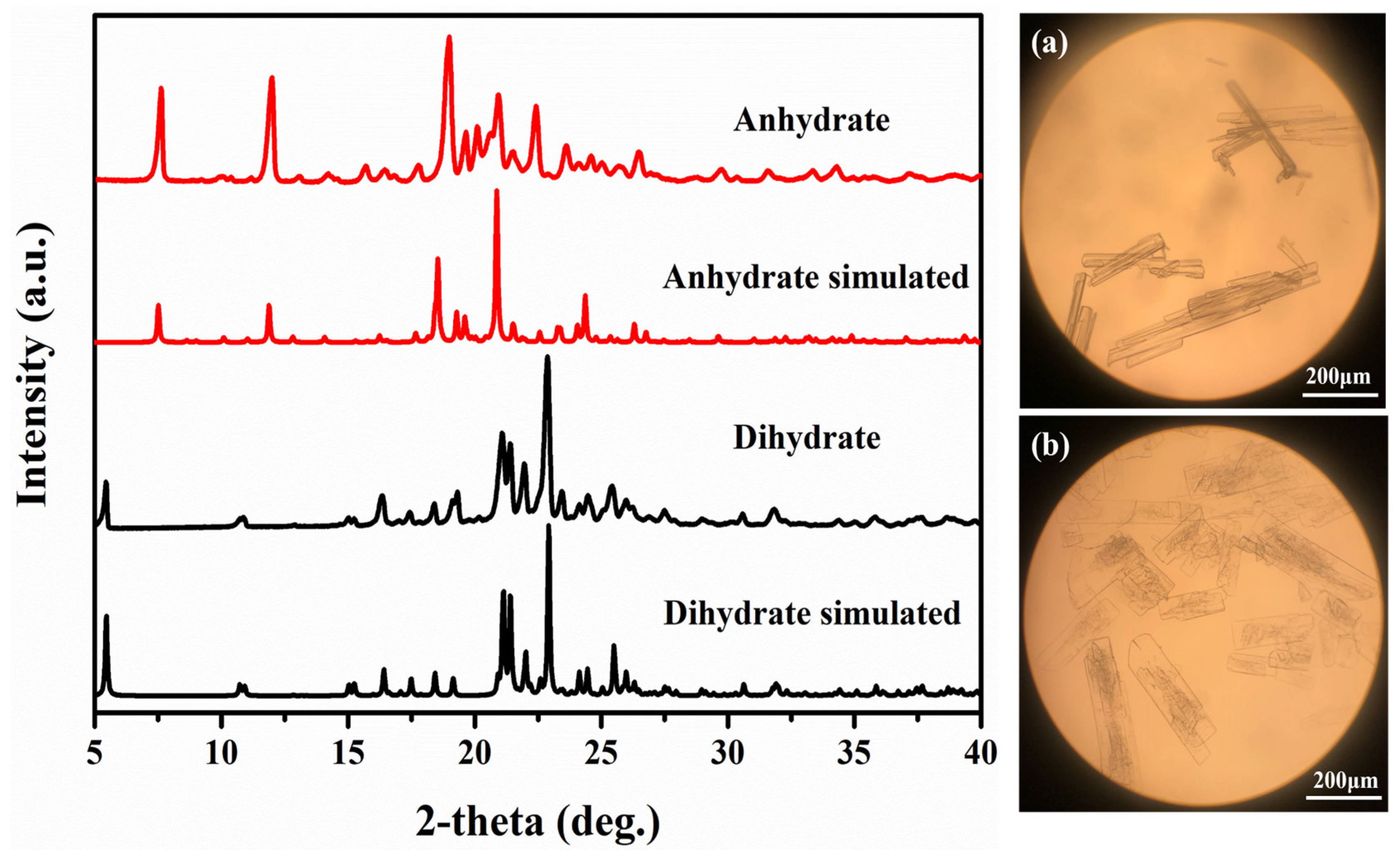 Polymers 16 00480 g002