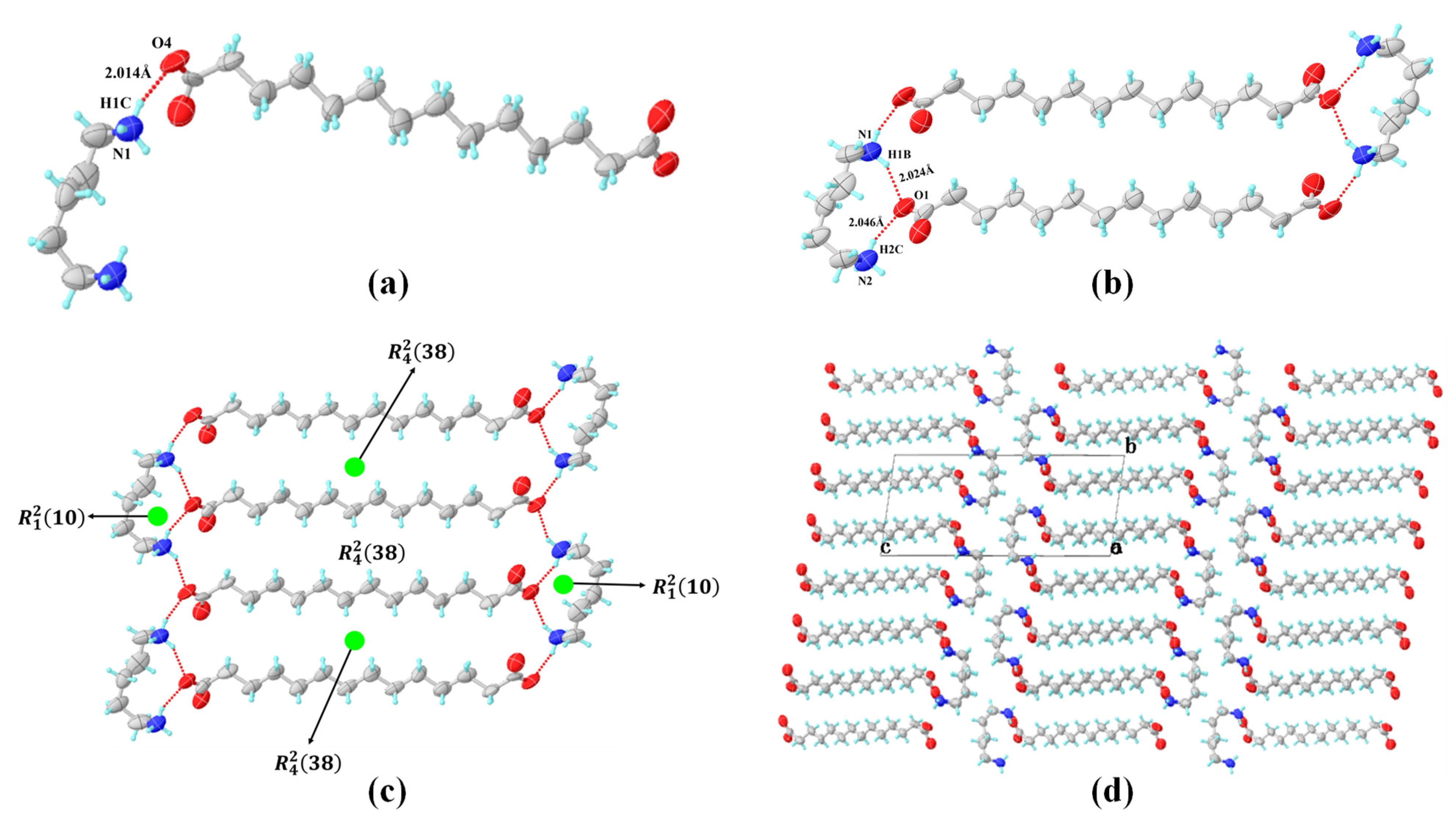 Polymers 16 00480 g004