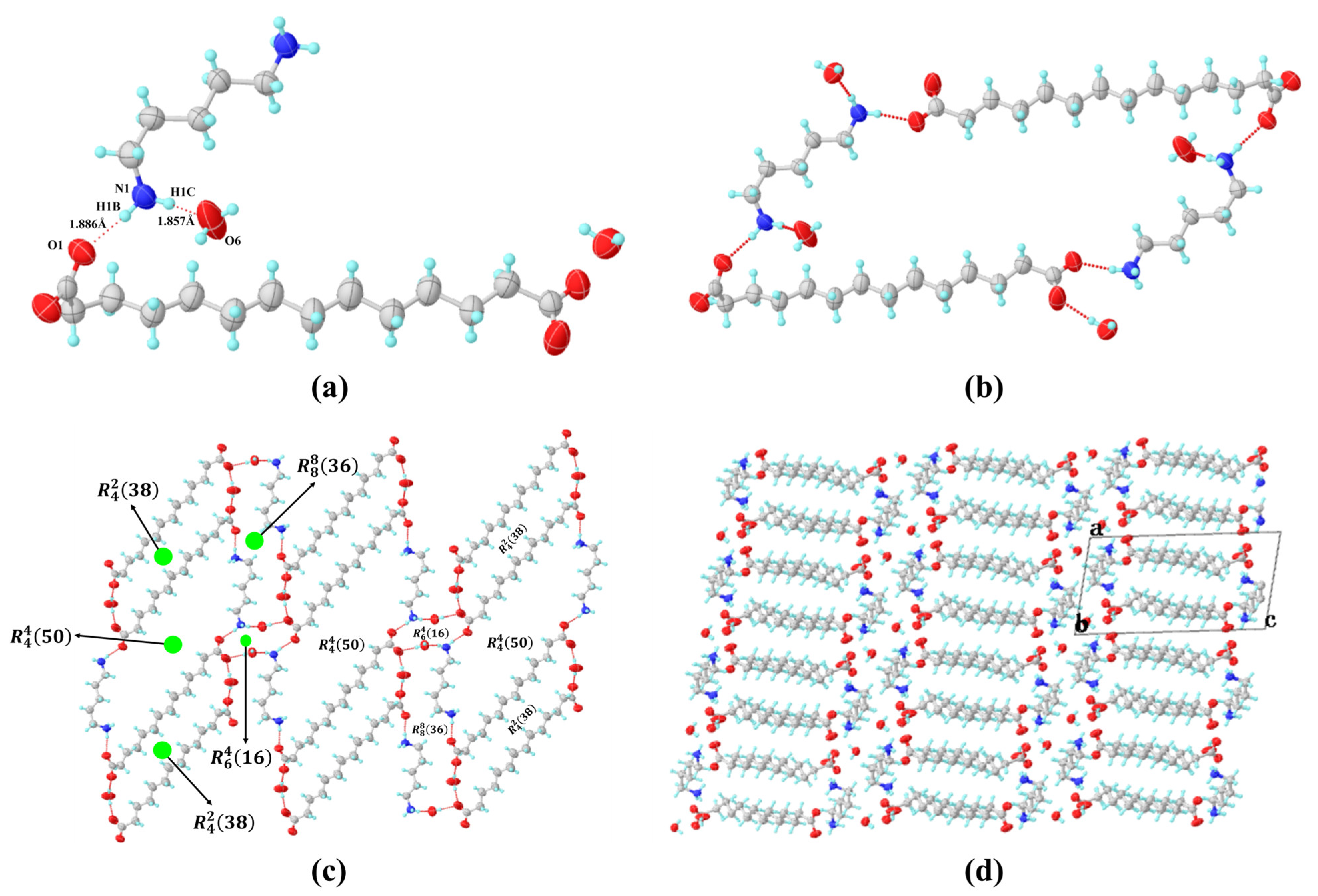 Polymers 16 00480 g005