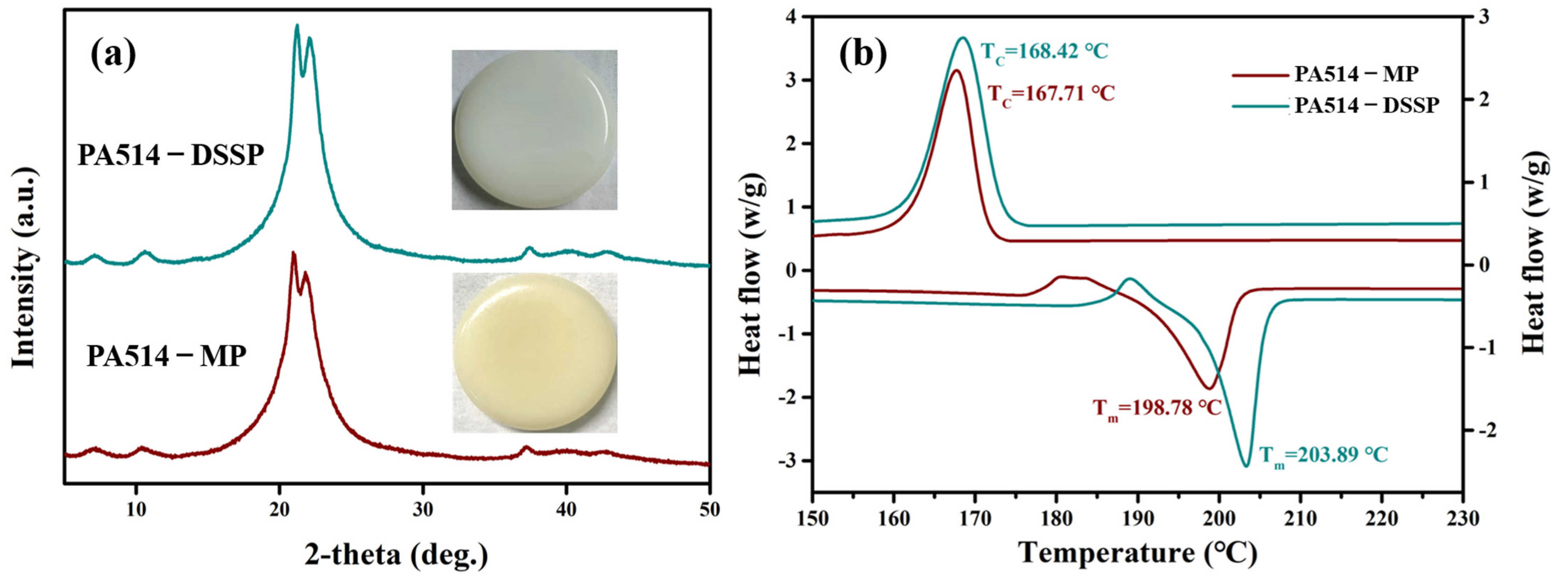 Polymers 16 00480 g010