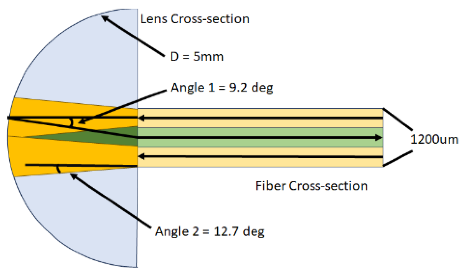 Polymers 16 00481 g002
