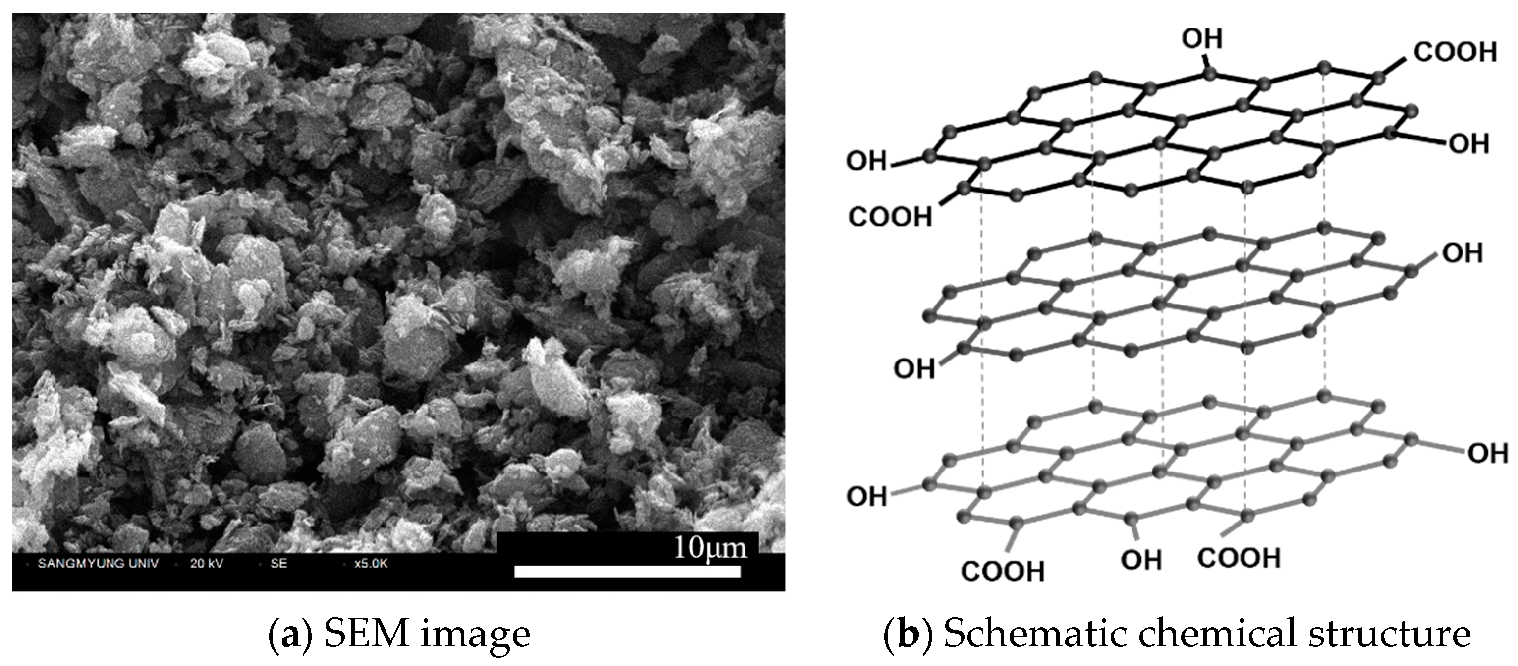 Polymers 16 00482 g001