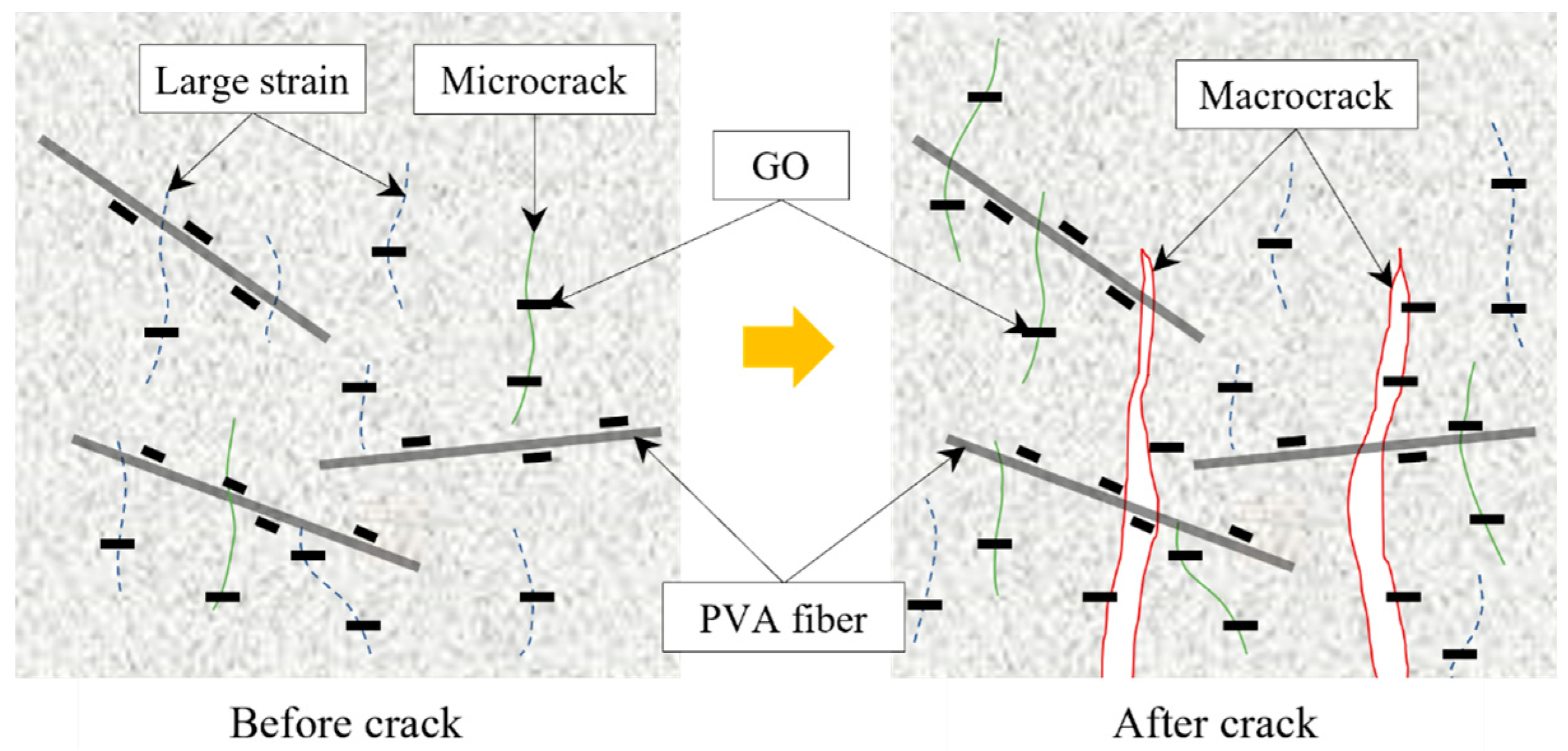 Polymers 16 00482 g012