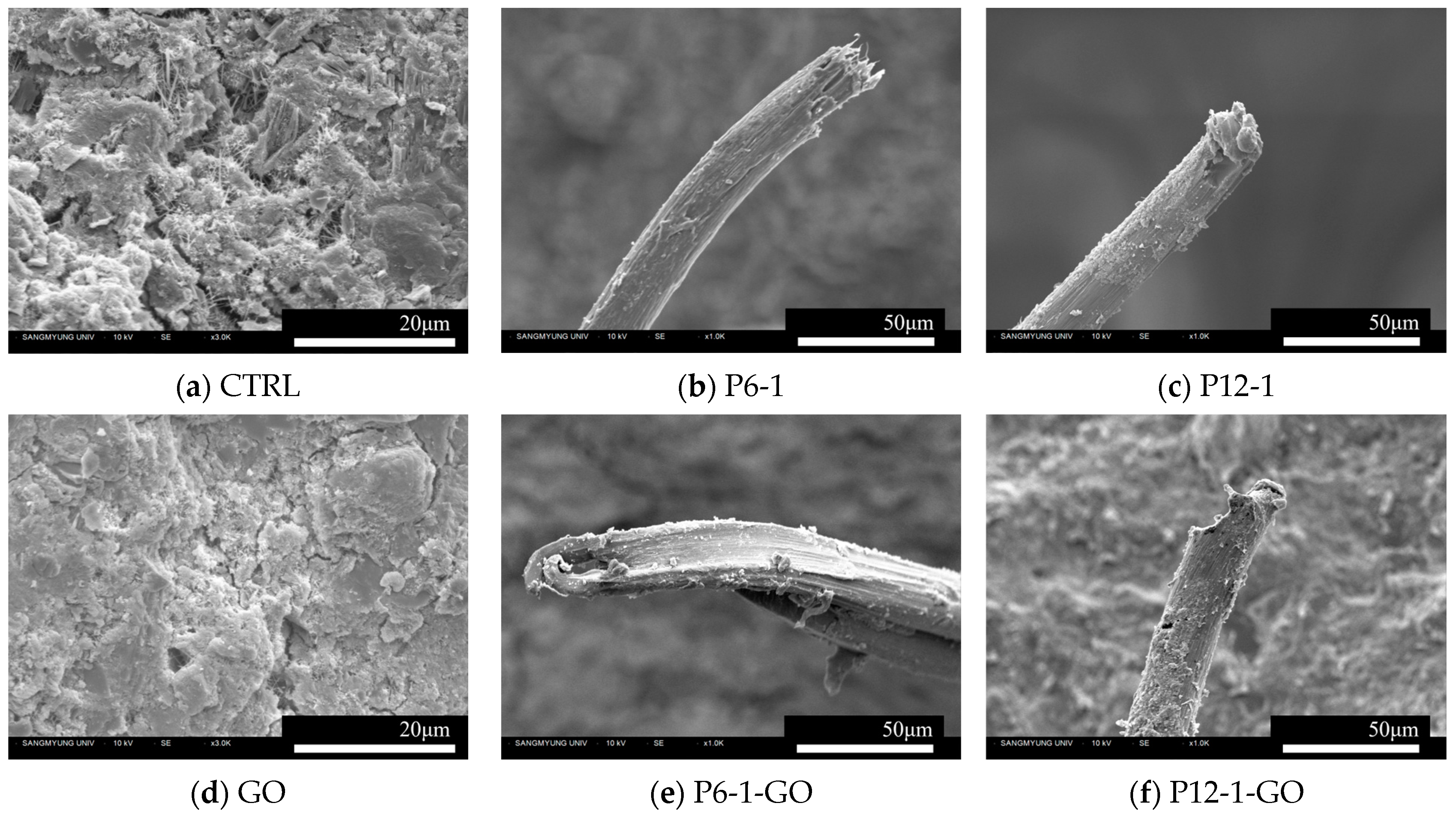 Polymers 16 00482 g013