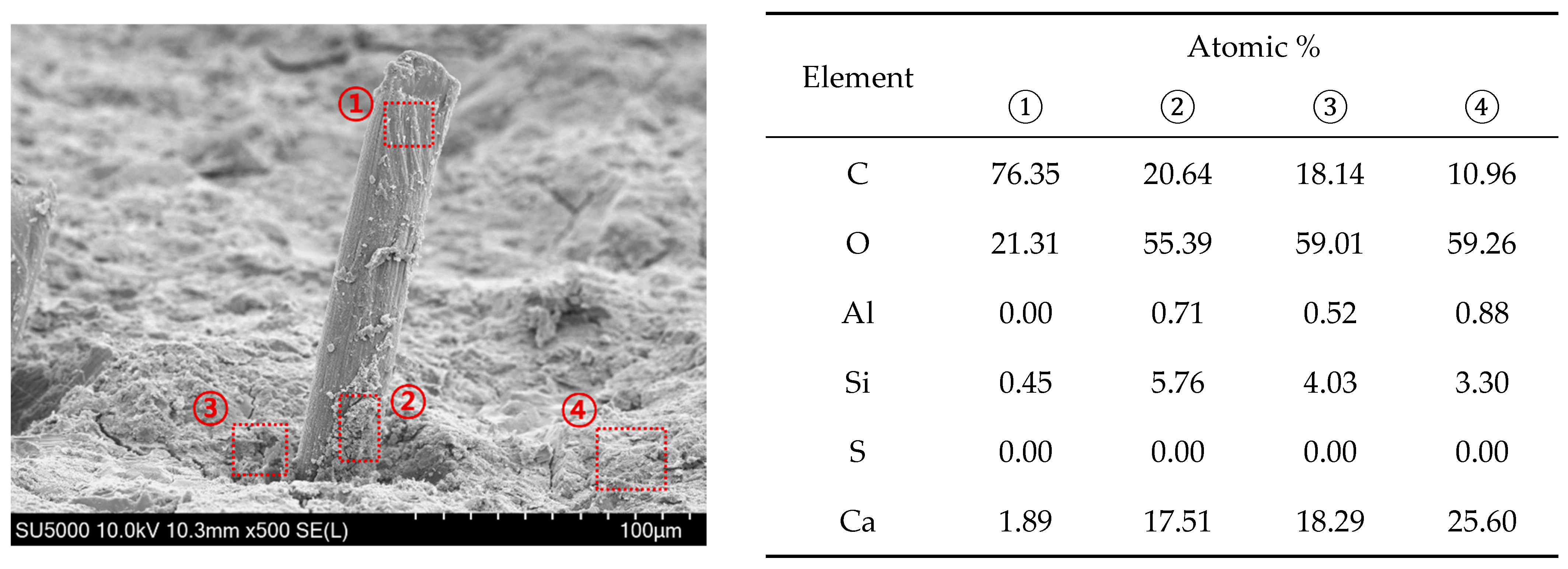 Polymers 16 00482 g014